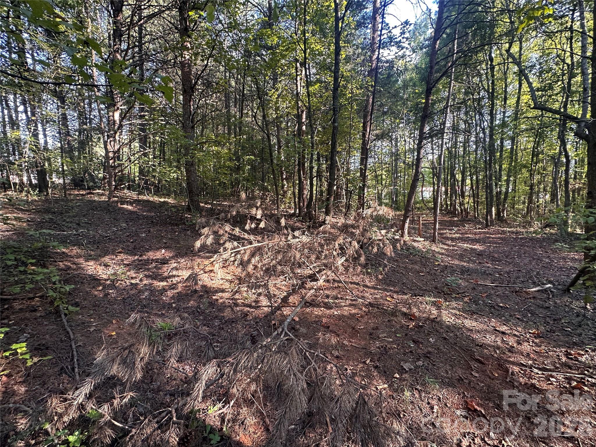 86 Sunrise Trail Property Photo 10