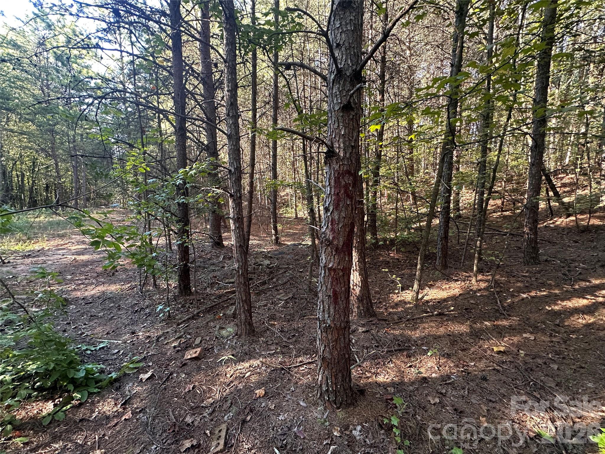 86 Sunrise Trail Property Photo 11