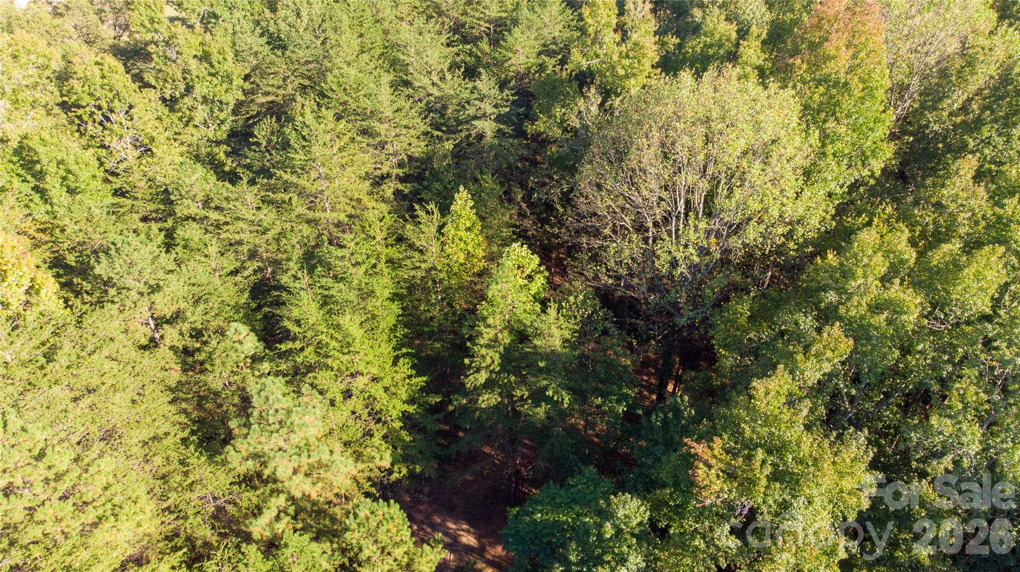 86 Sunrise Trail Property Photo 13