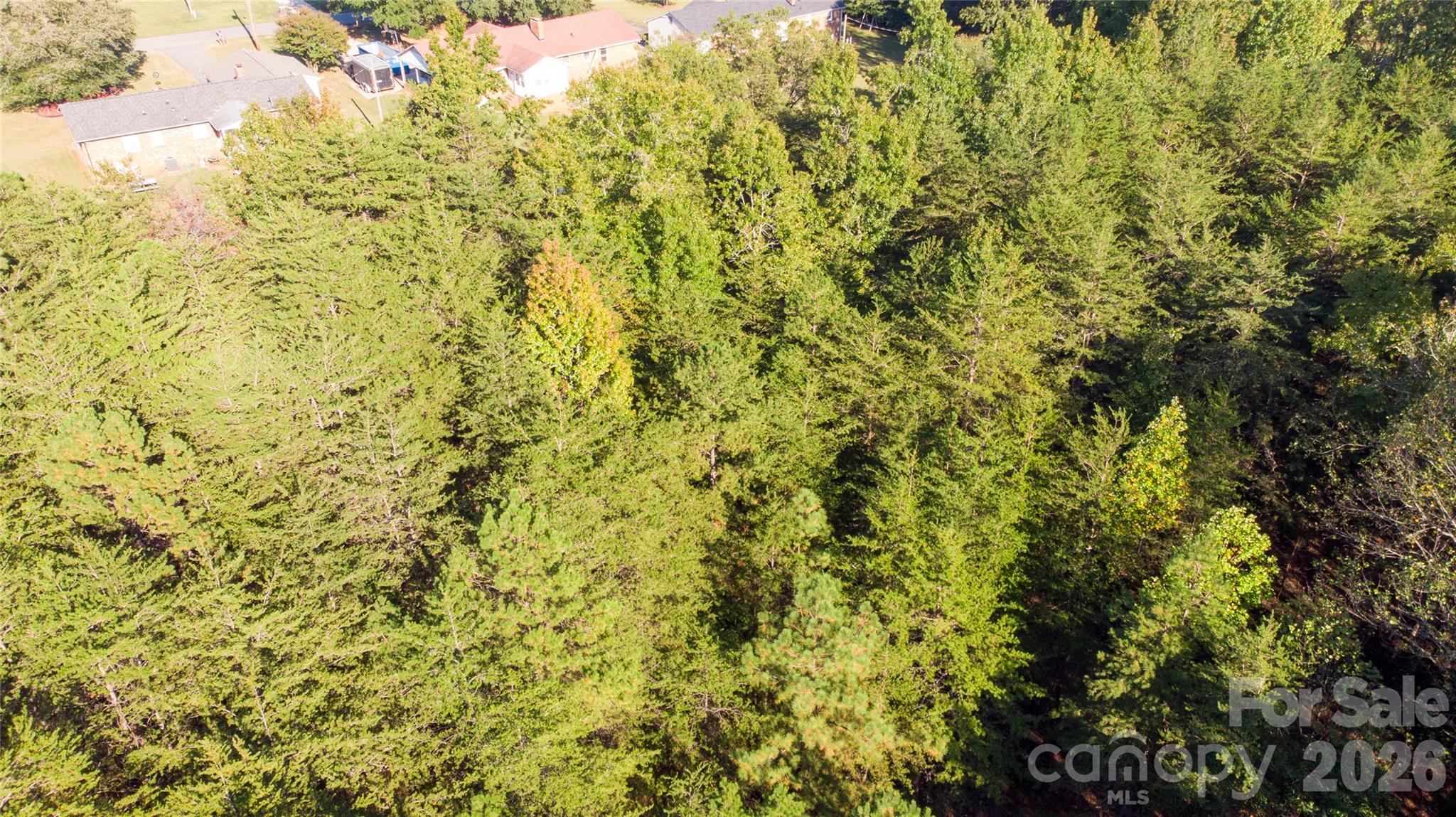 86 Sunrise Trail Property Photo 14