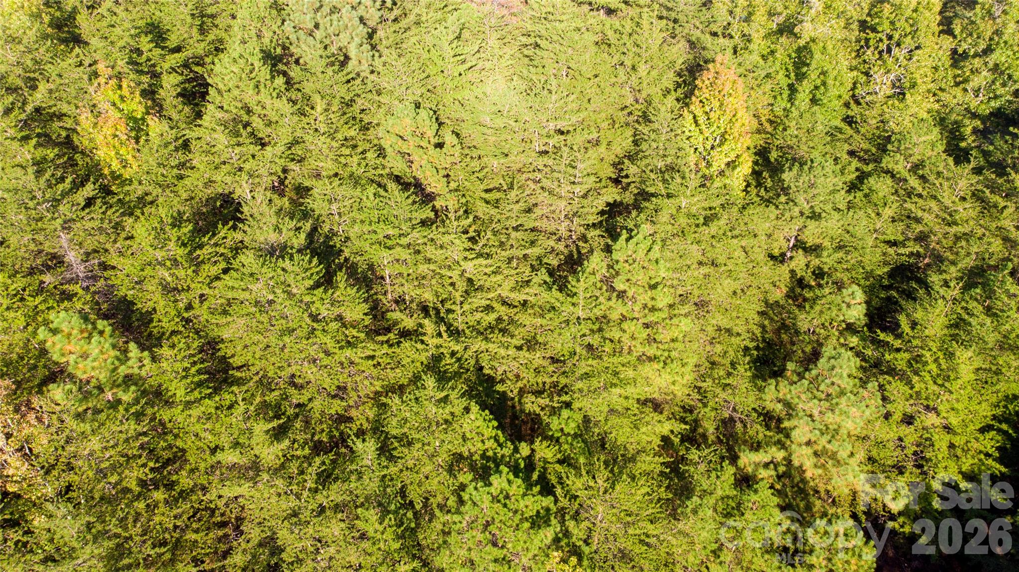 86 Sunrise Trail Property Photo 15