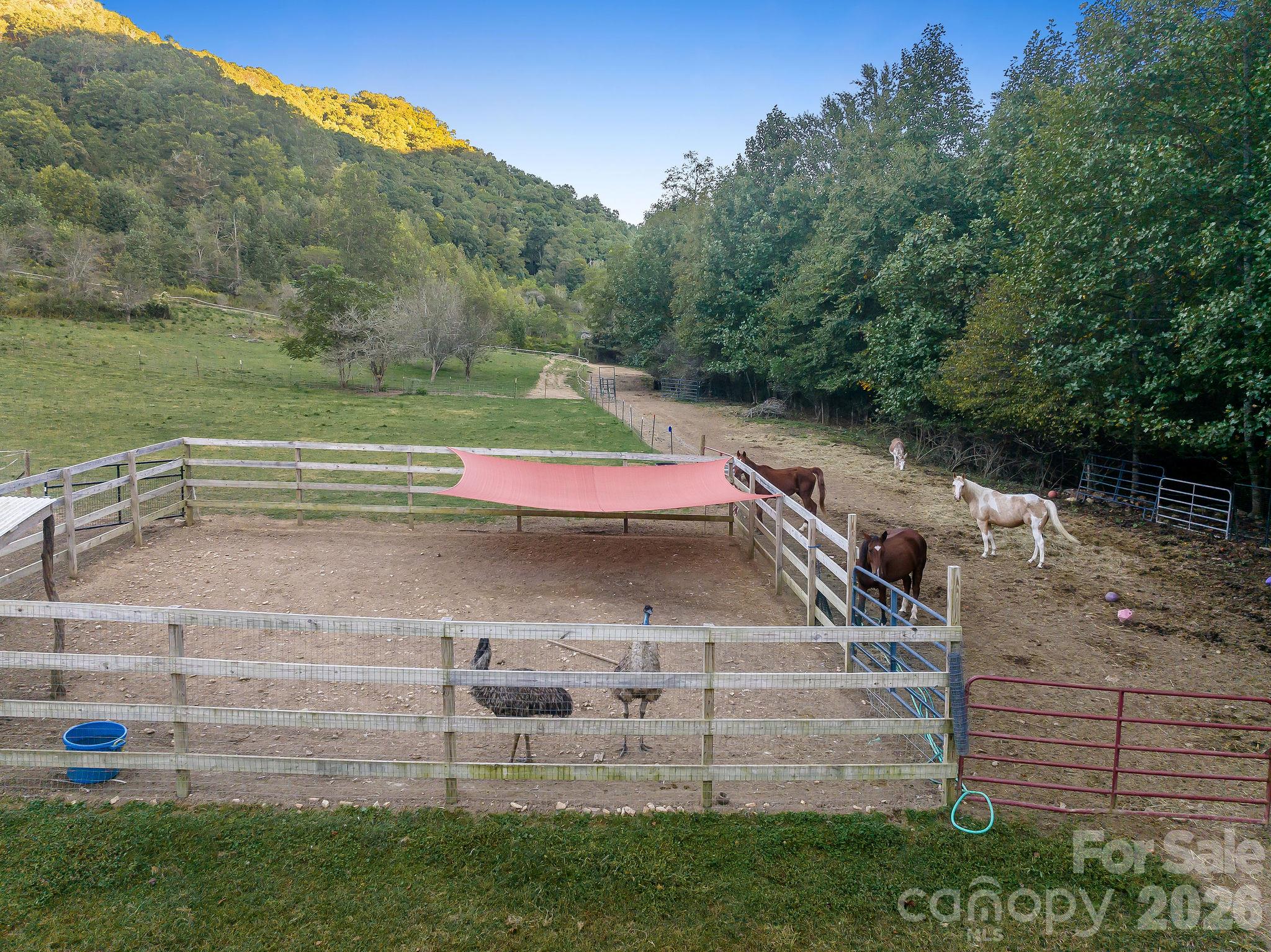 1102 Price Town Road Property Photo 25