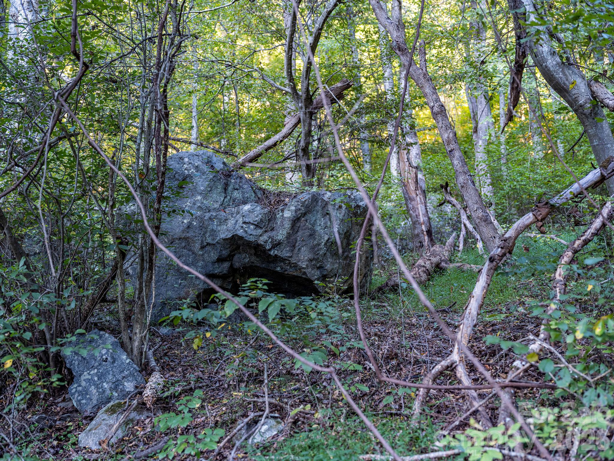 1102 Price Town Road Property Photo 30