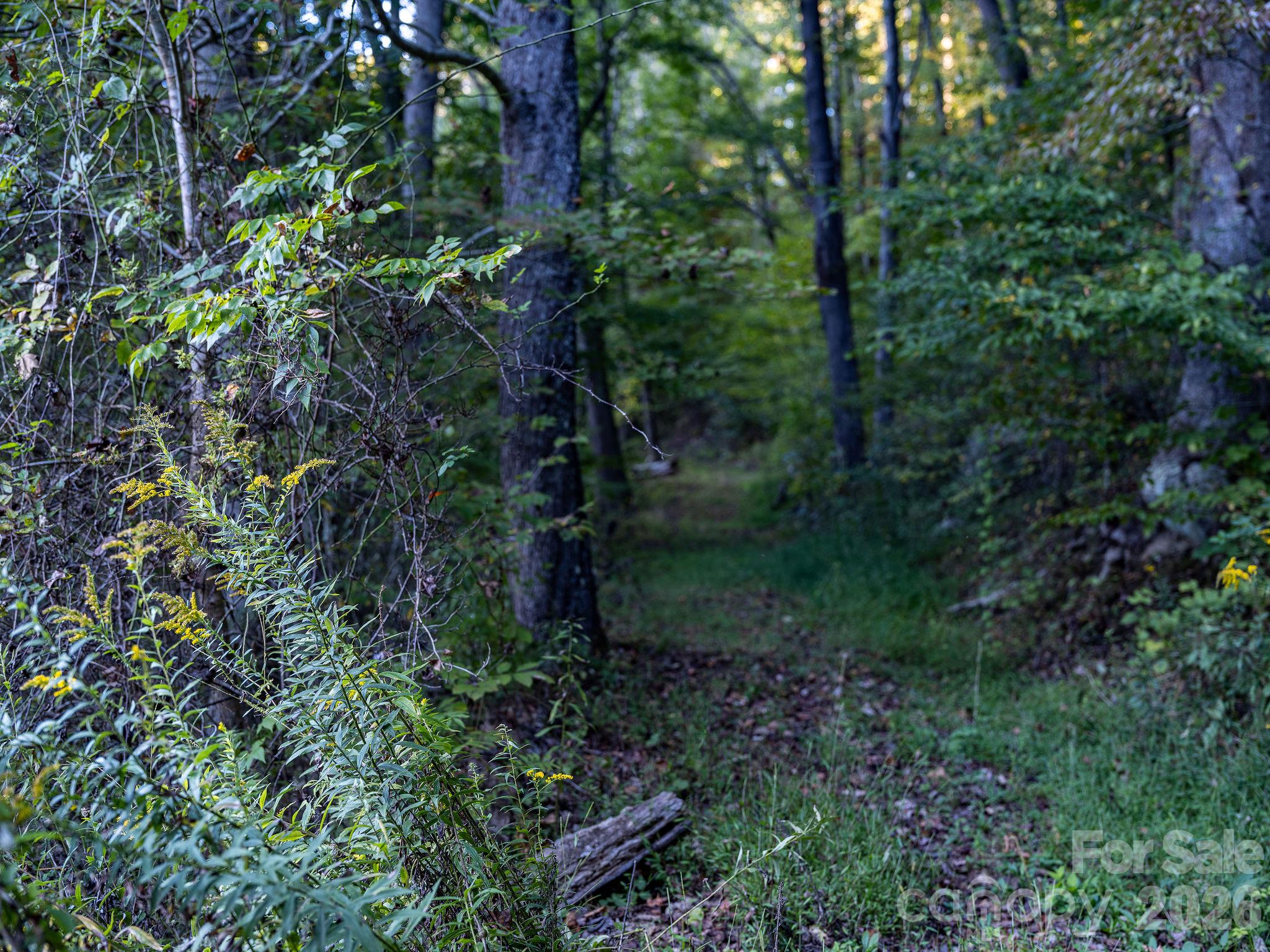 1102 Price Town Road Property Photo 31