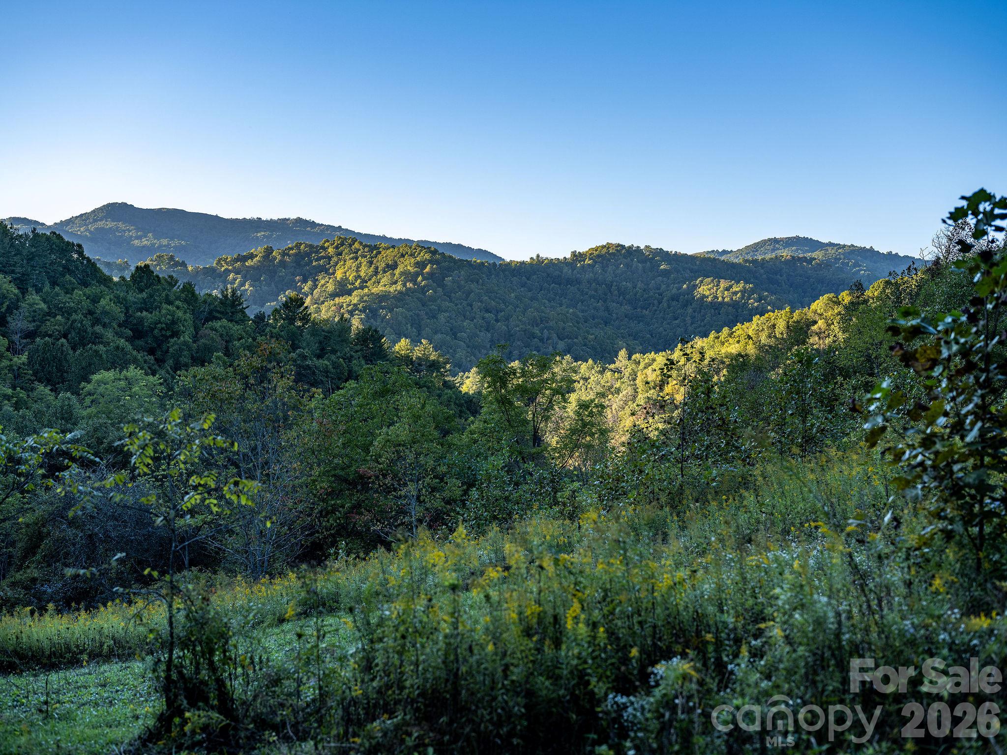 1102 Price Town Road Property Photo 32