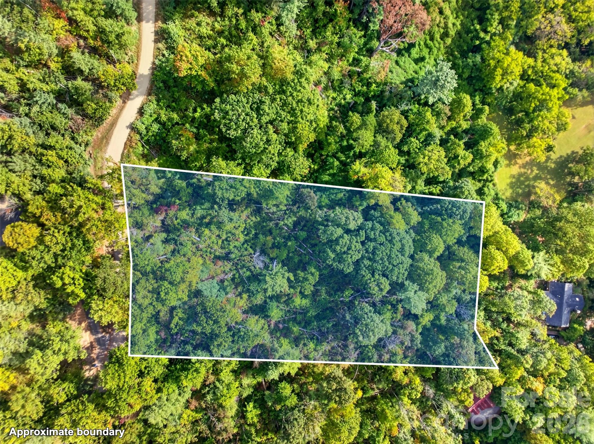99999 Vance Gap Road Property Photo 4