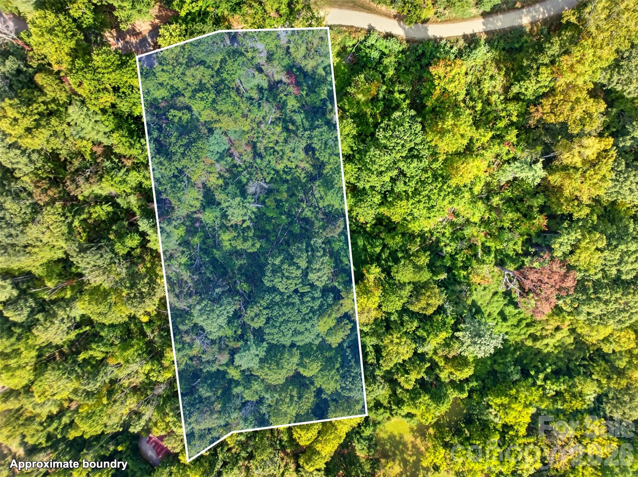 99999 Vance Gap Road Property Photo 6
