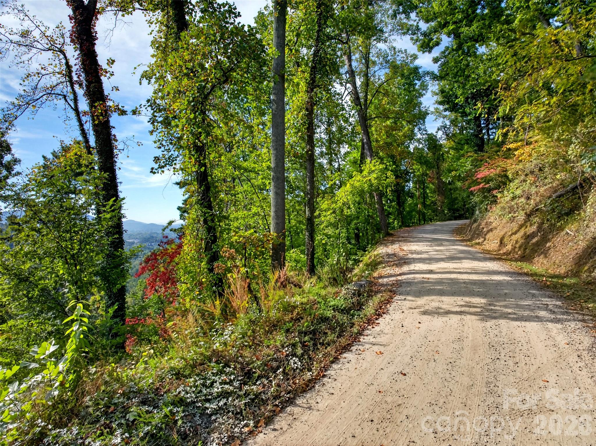 99999 Vance Gap Road Property Photo 9