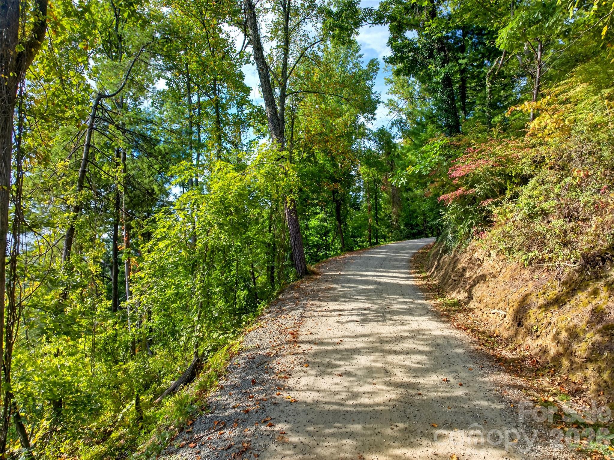 99999 Vance Gap Road Property Photo 10