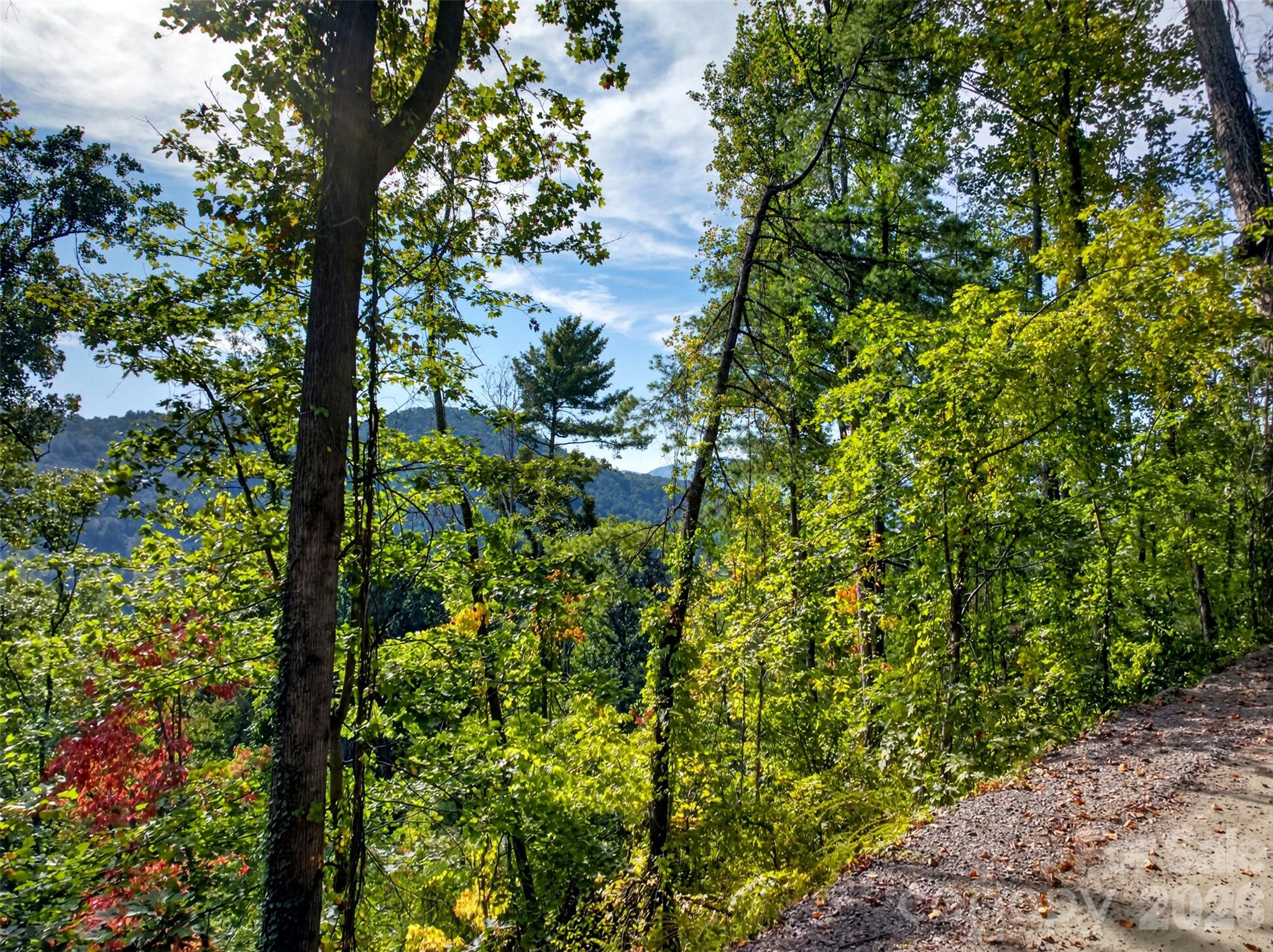 99999 Vance Gap Road Property Photo 11
