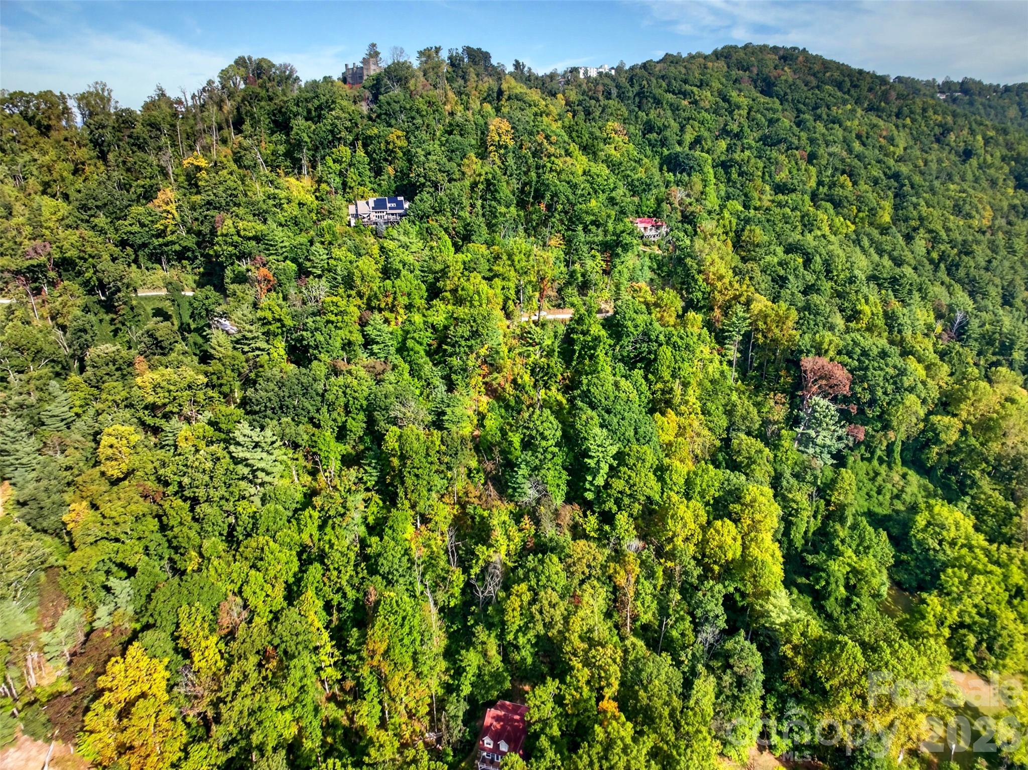 99999 Vance Gap Road Property Photo 12