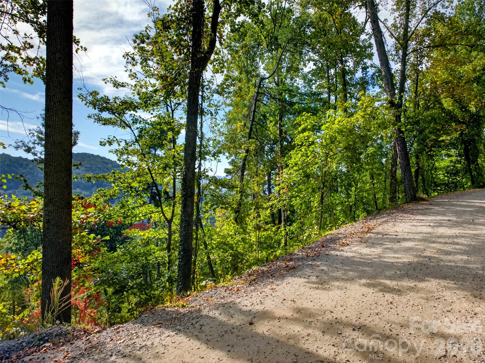 99999 Vance Gap Road Property Photo 13