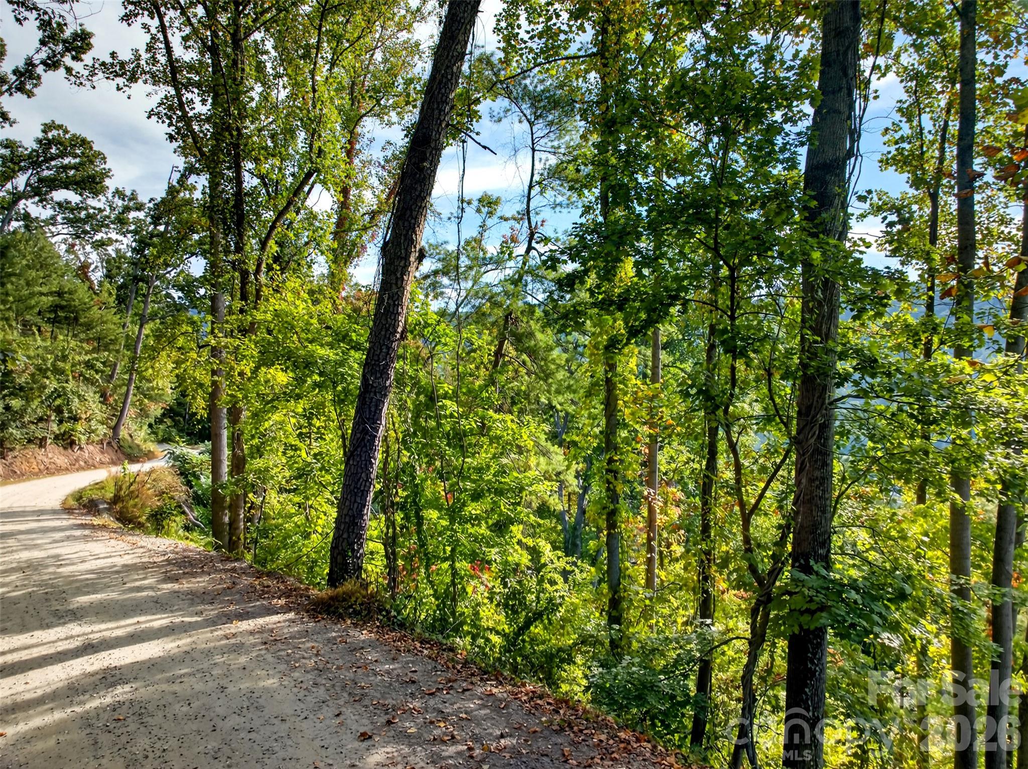 99999 Vance Gap Road Property Photo 14