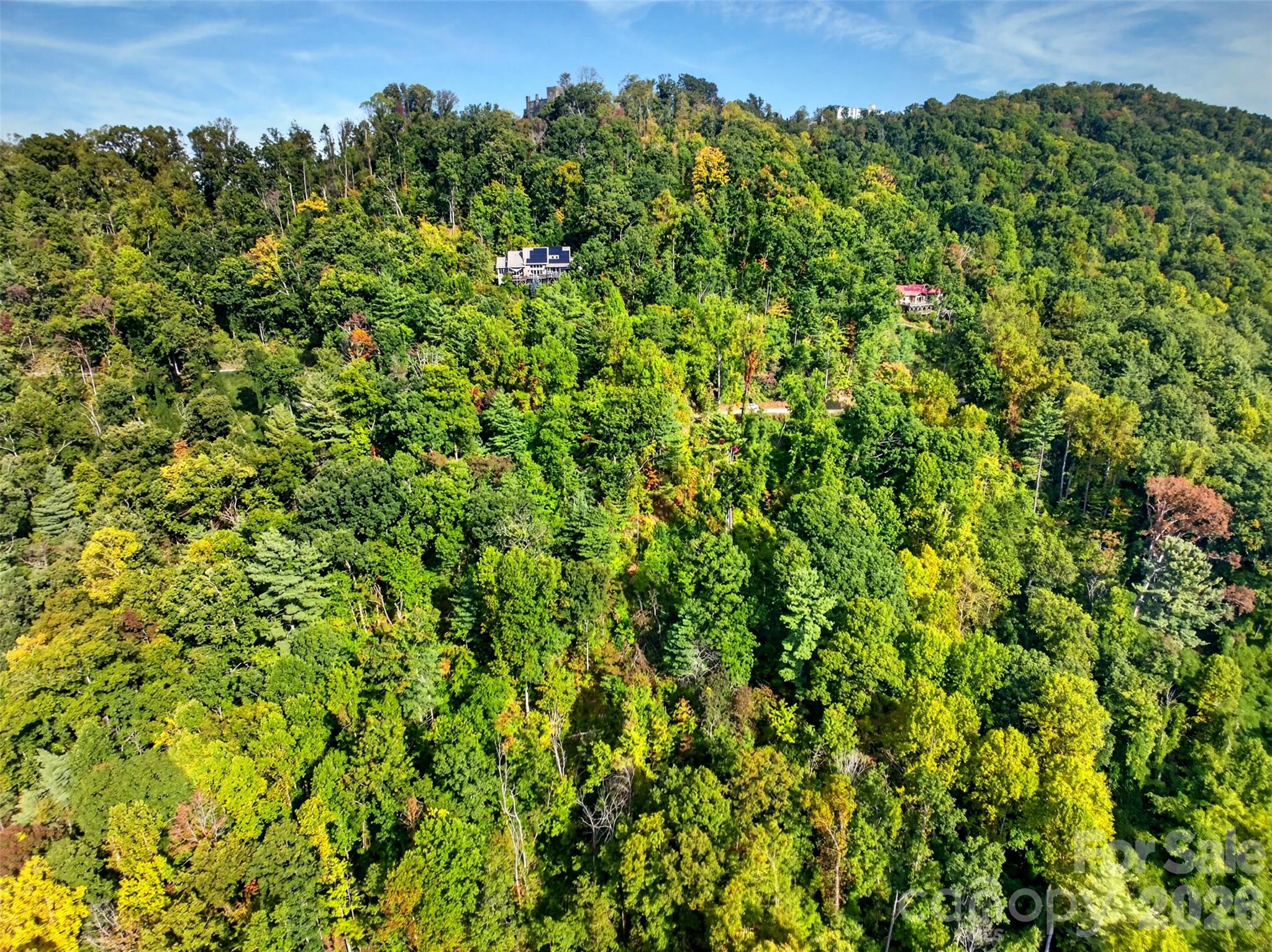 99999 Vance Gap Road Property Photo 15