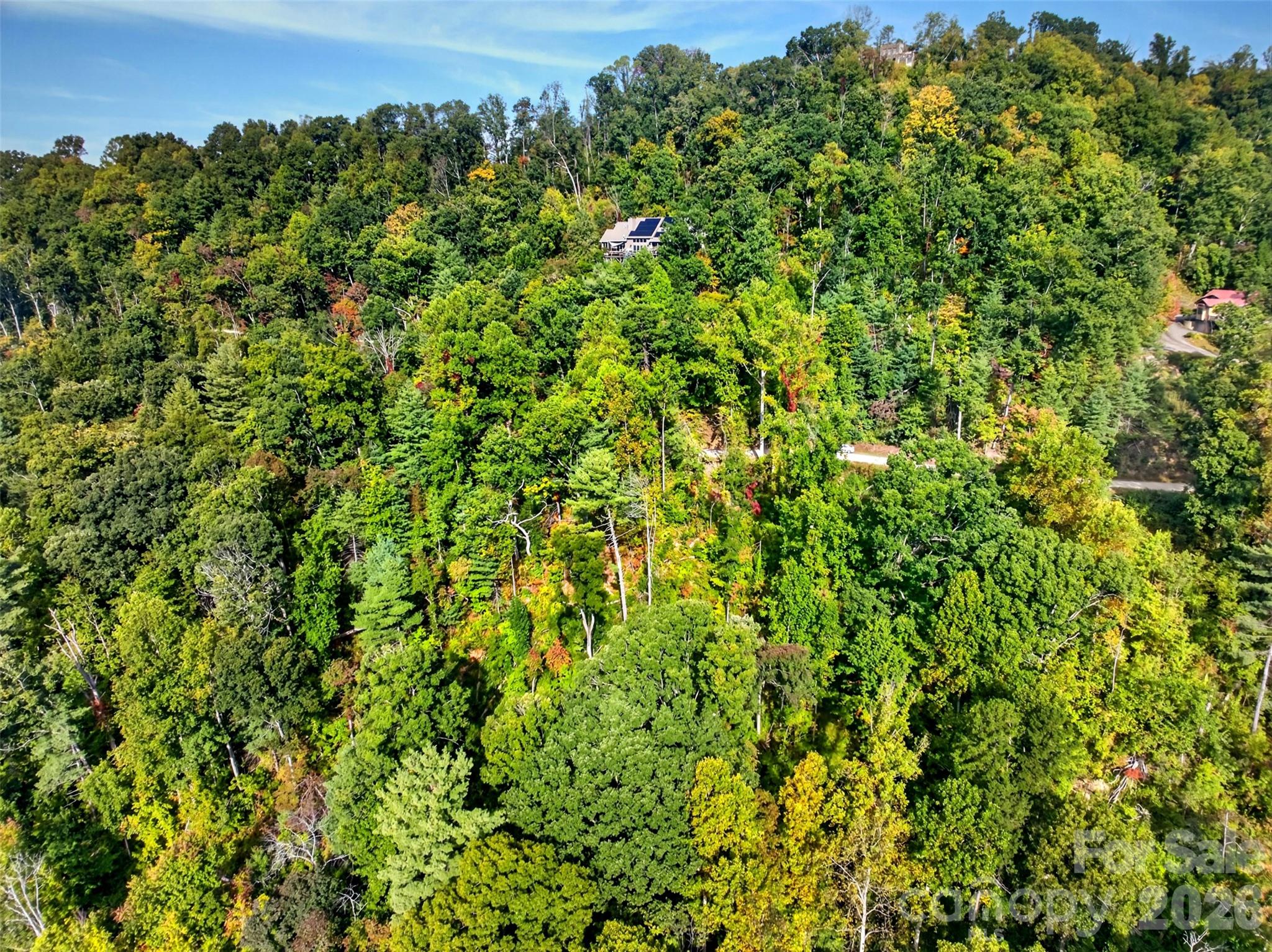 99999 Vance Gap Road Property Photo 16