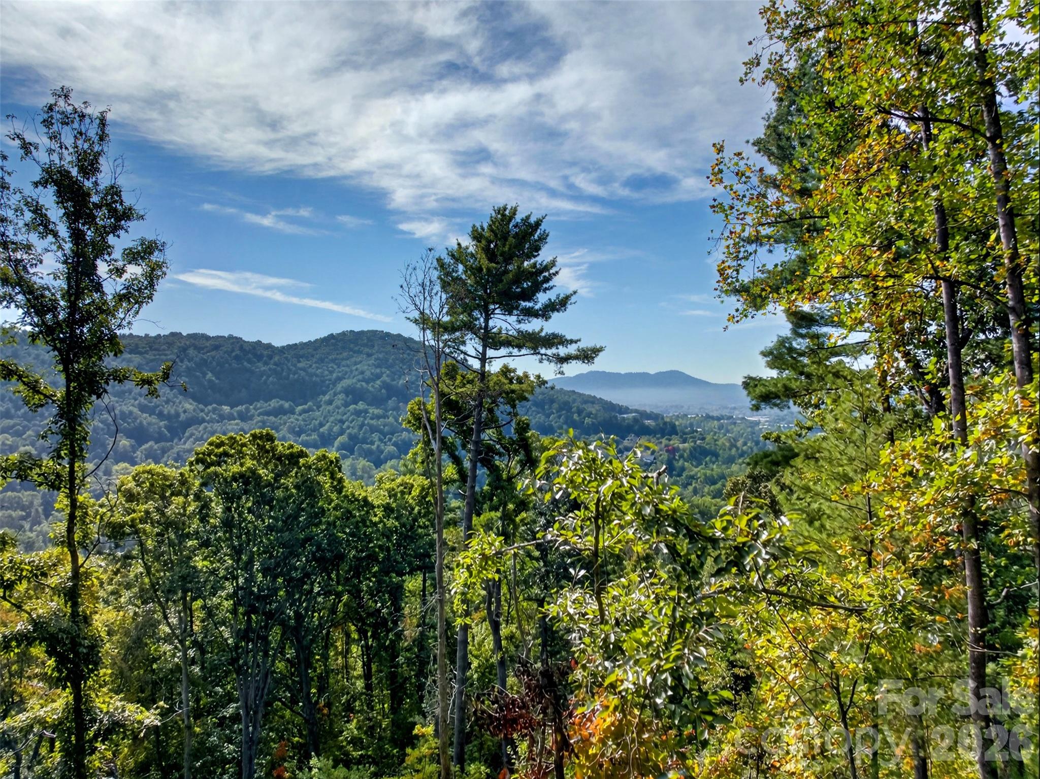 99999 Vance Gap Road Property Photo 17