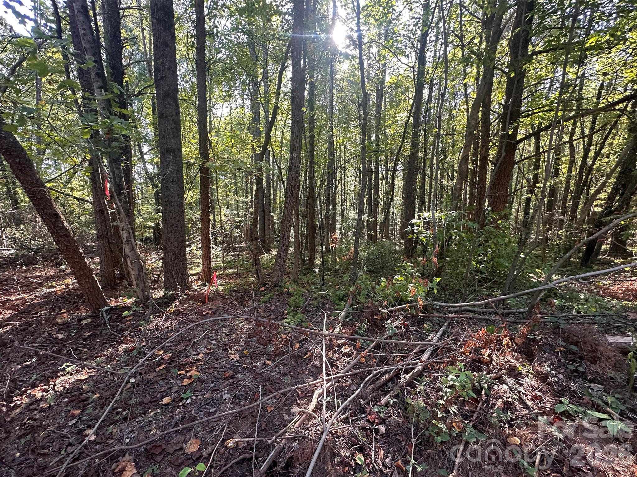 84 Sunrise Trail Property Photo 2