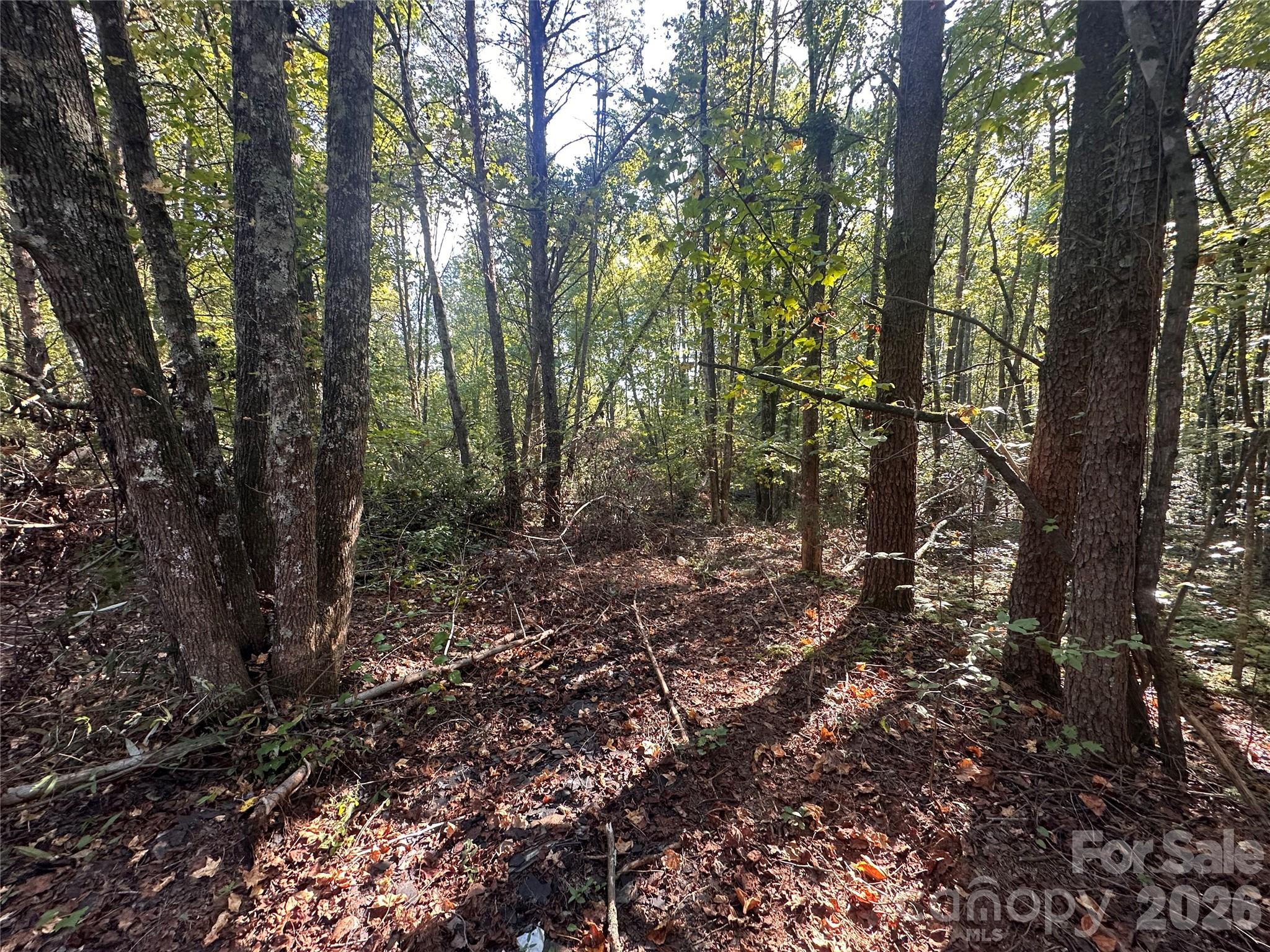 84 Sunrise Trail Property Photo 3