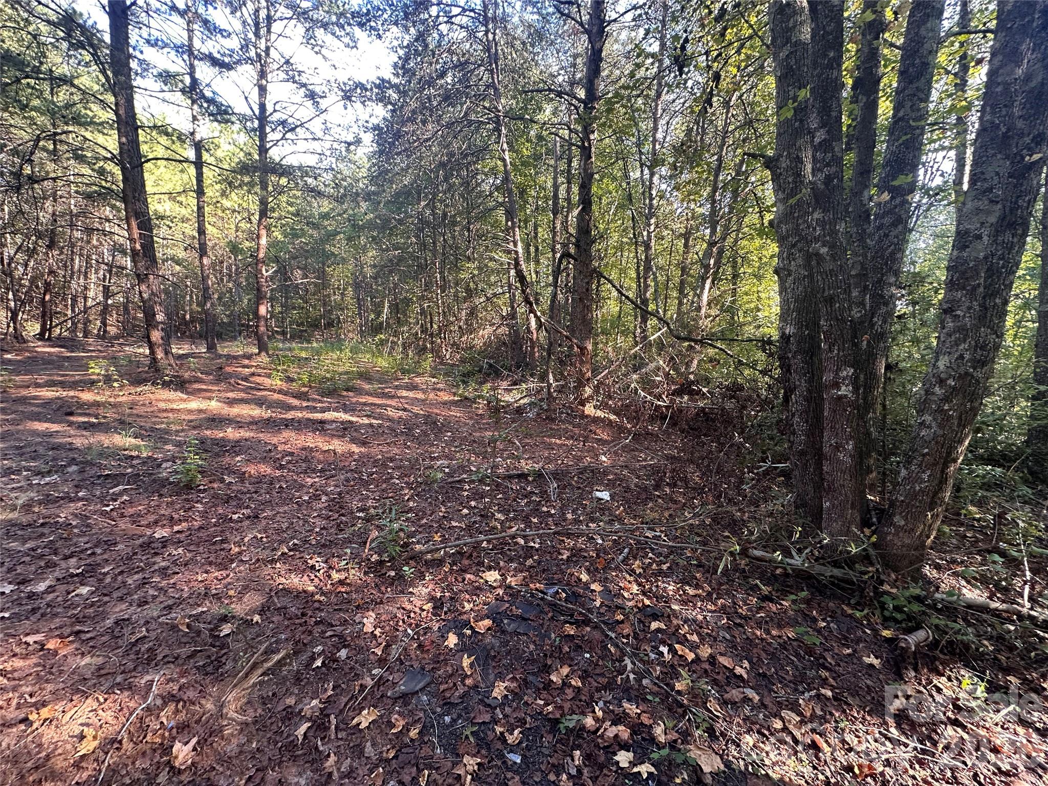 84 Sunrise Trail Property Photo 5