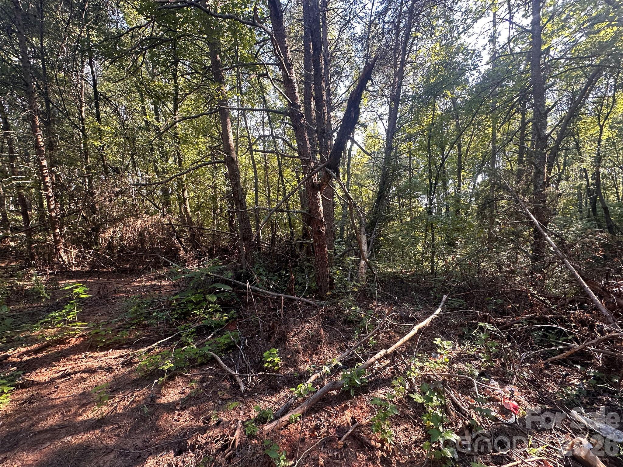 84 Sunrise Trail Property Photo 6