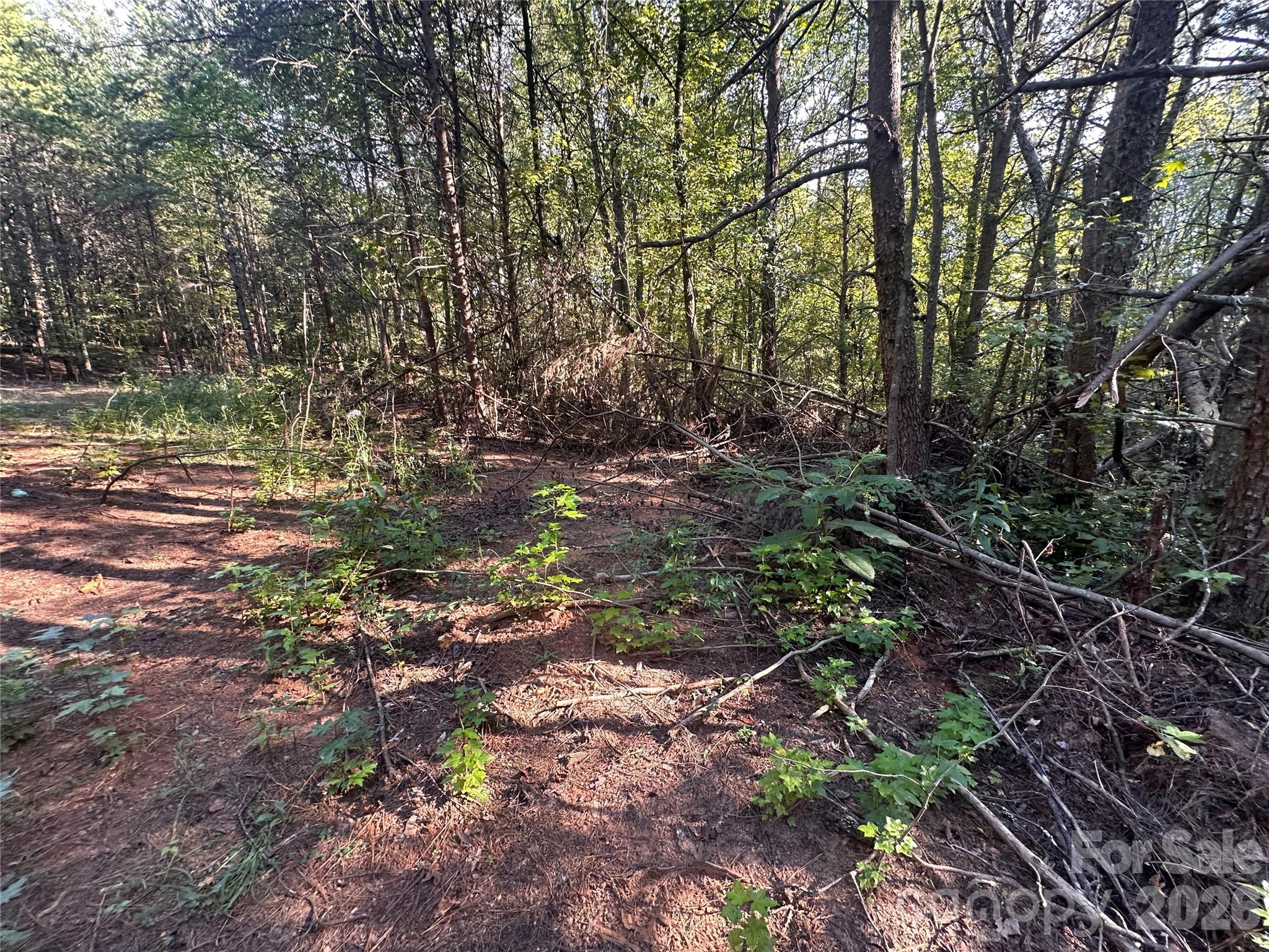 84 Sunrise Trail Property Photo 7
