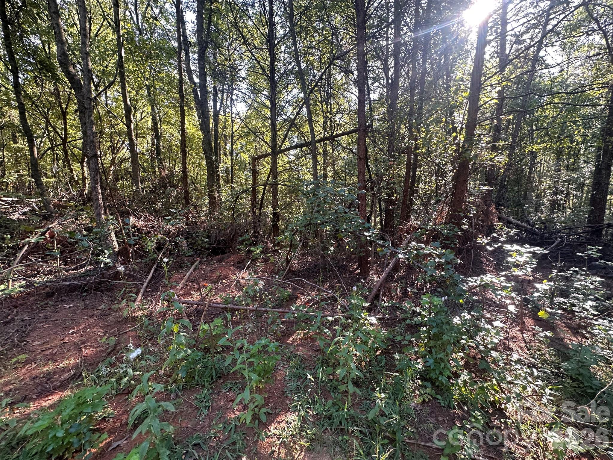 84 Sunrise Trail Property Photo 8