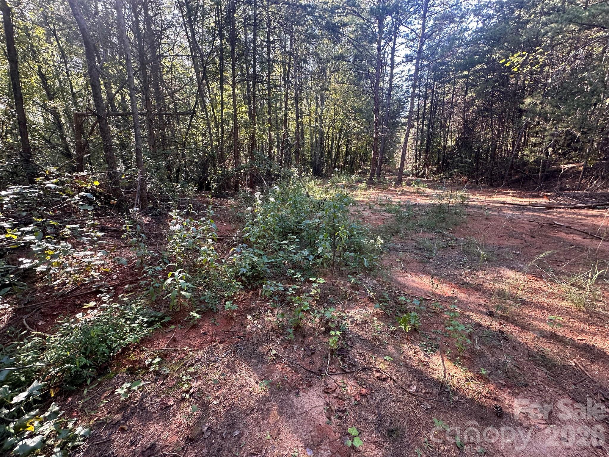 84 Sunrise Trail Property Photo 9