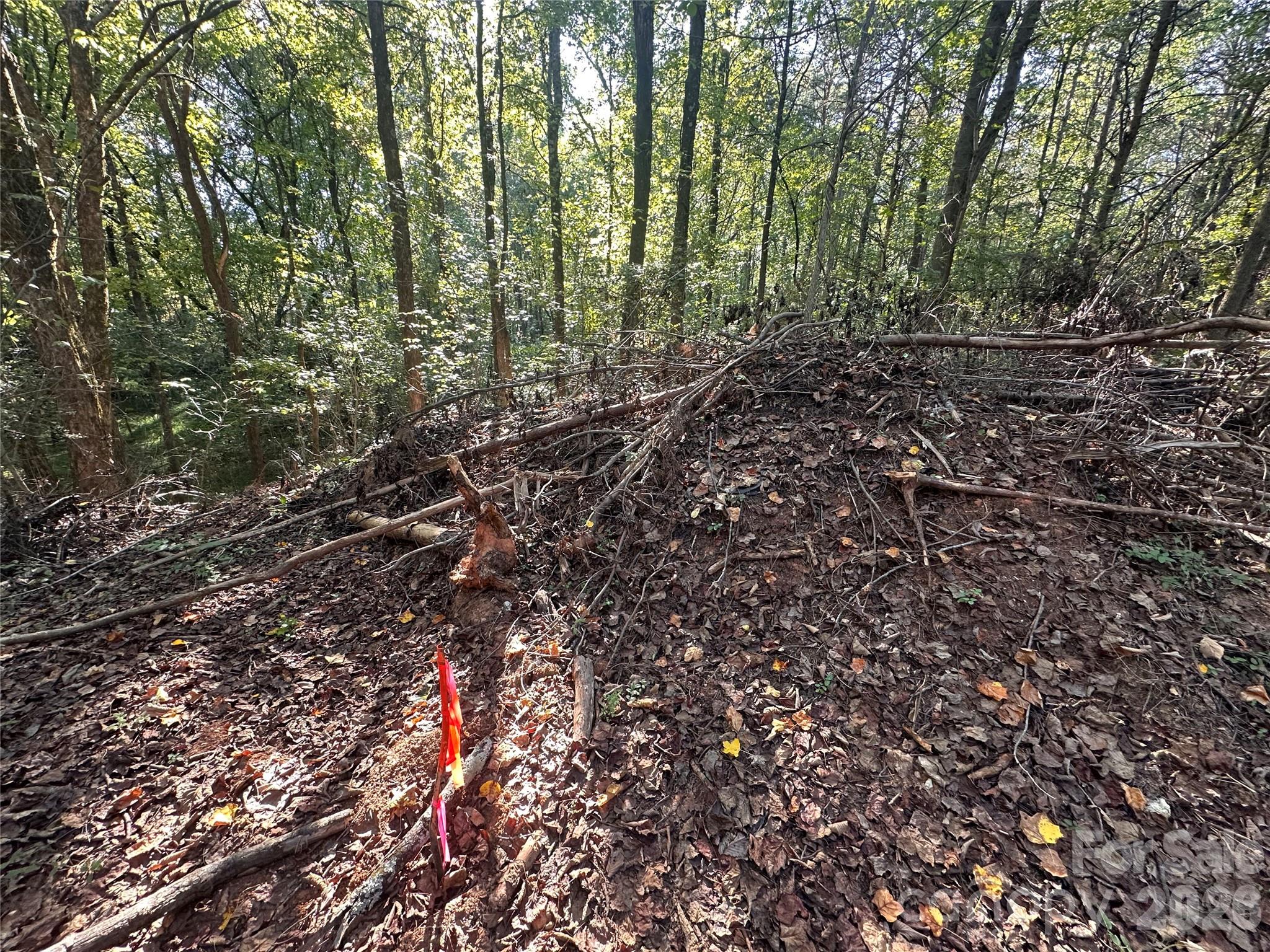 84 Sunrise Trail Property Photo 10