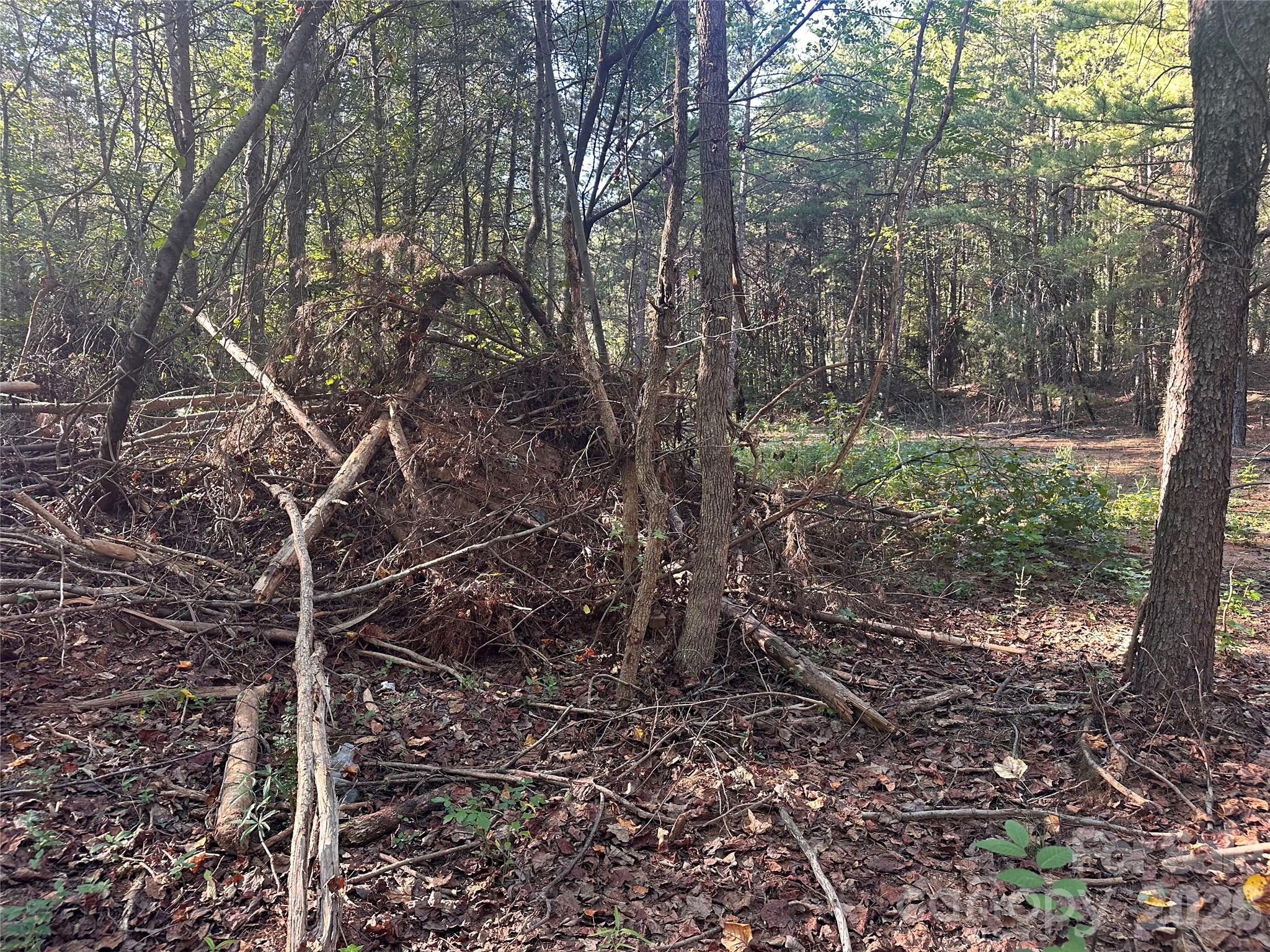 84 Sunrise Trail Property Photo 11