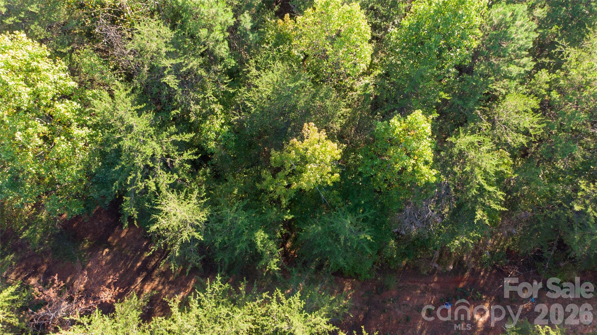 84 Sunrise Trail Property Photo 12