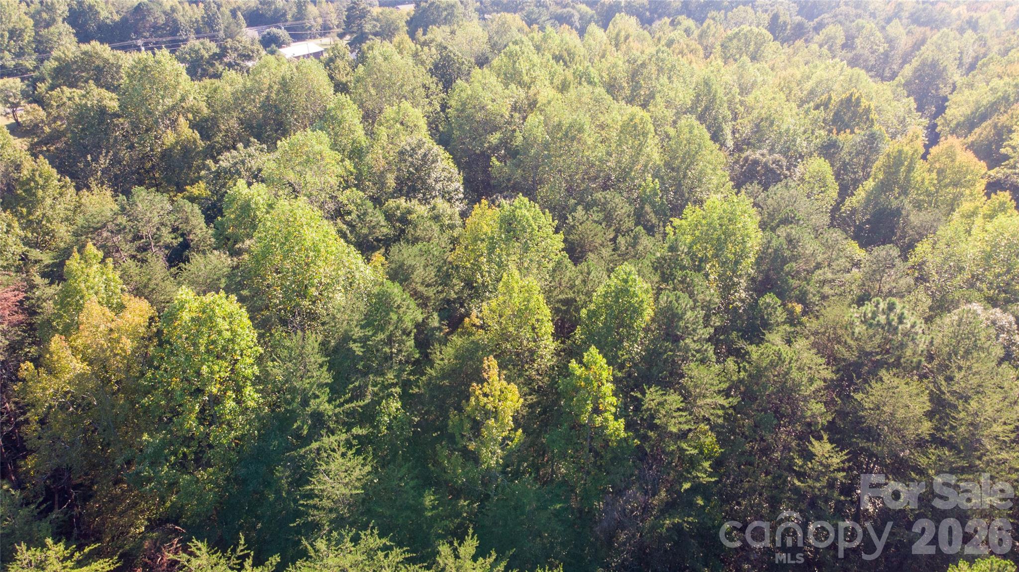 84 Sunrise Trail Property Photo 13