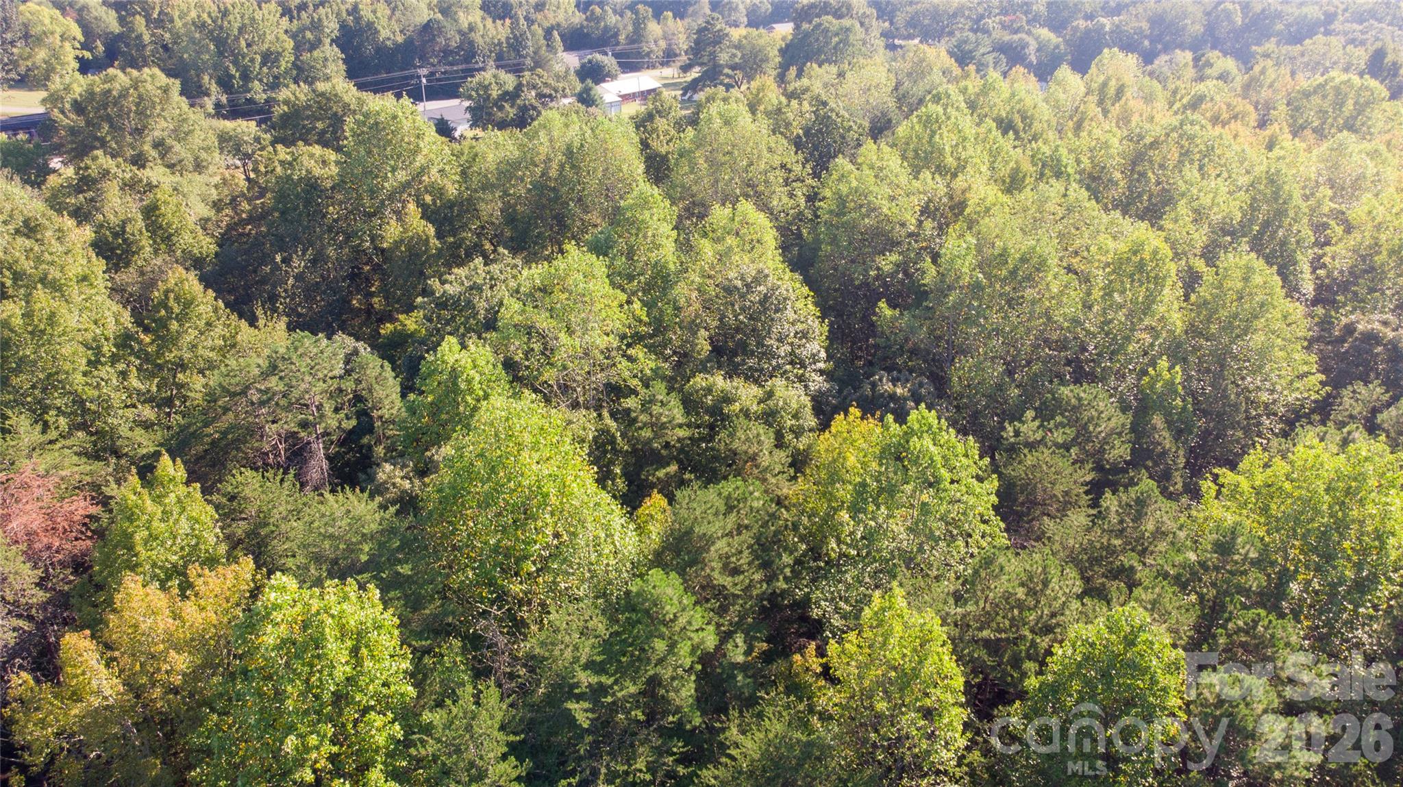 84 Sunrise Trail Property Photo 15