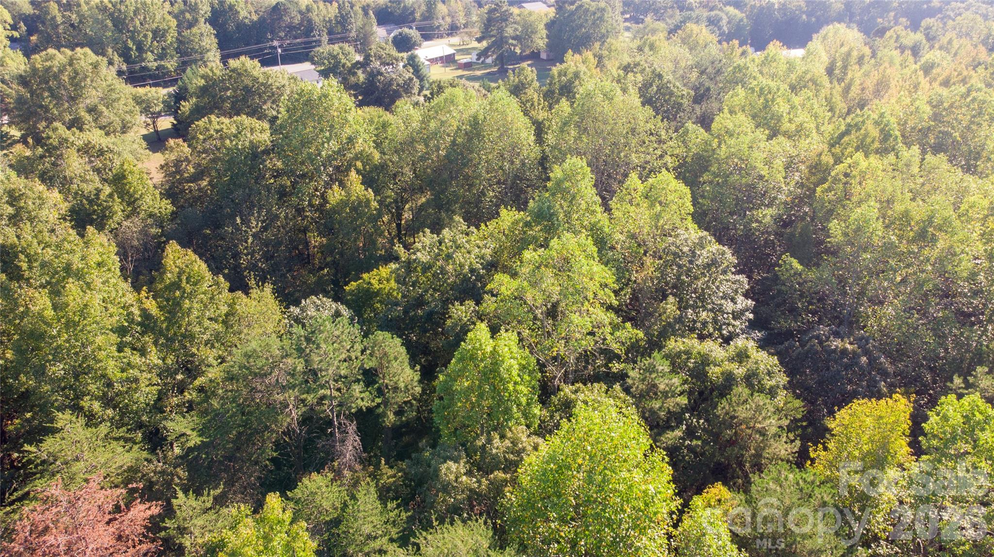 84 Sunrise Trail Property Photo 16