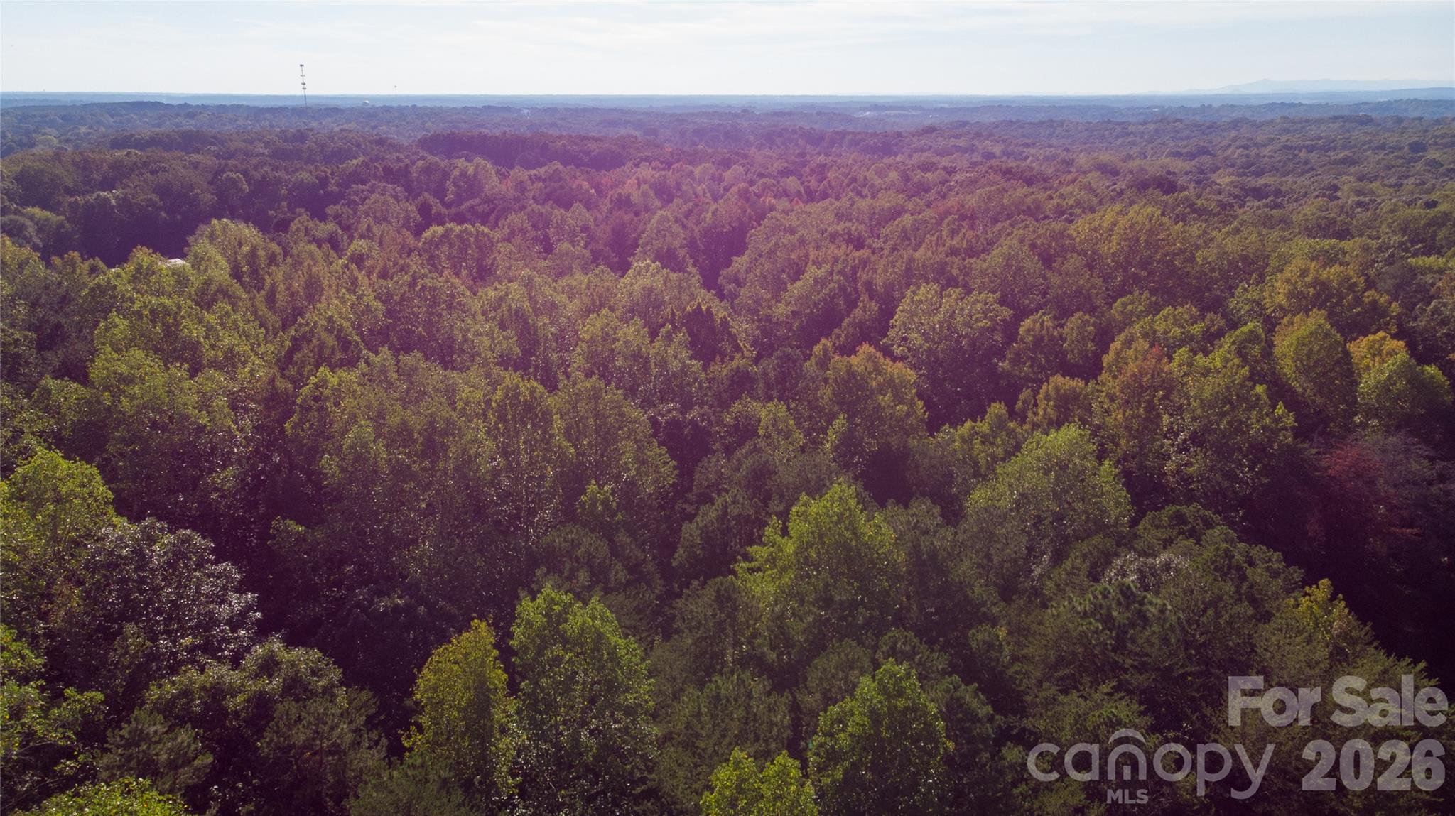 84 Sunrise Trail Property Photo 17