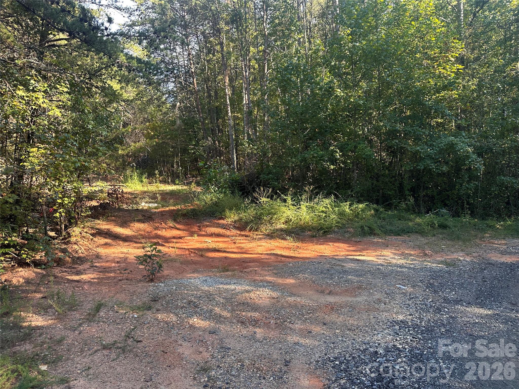 81 Meandering Lane Property Photo 3