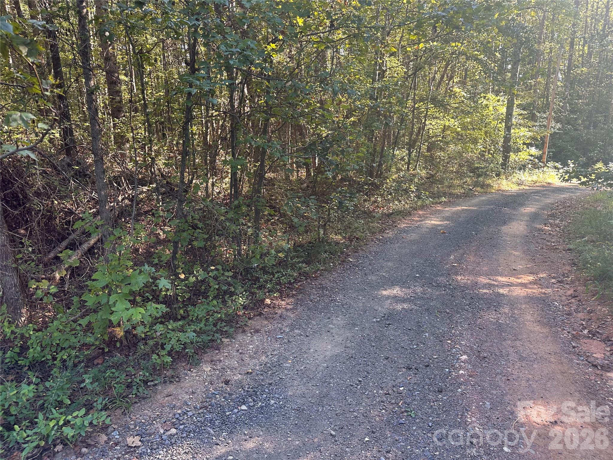 81 Meandering Lane Property Photo 5