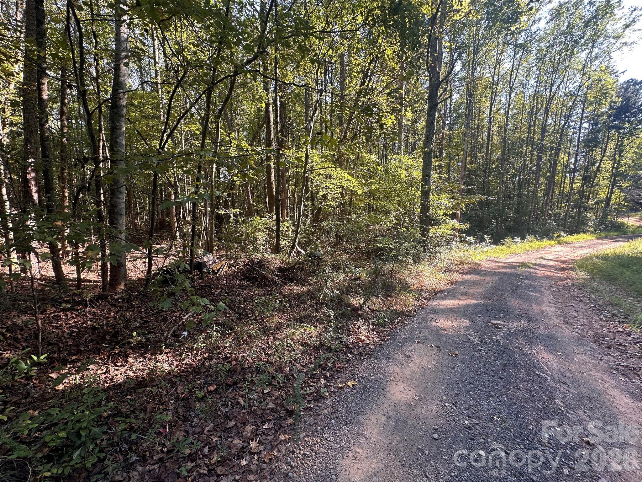 81 Meandering Lane Property Photo 6