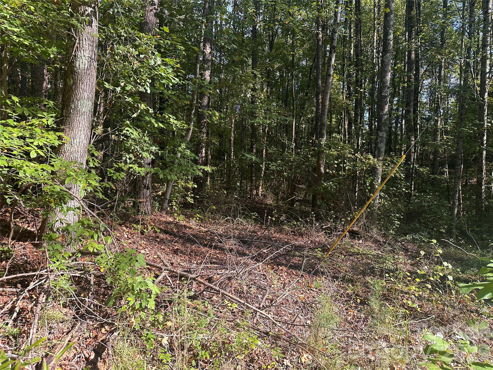 81 Meandering Lane Property Photo 7