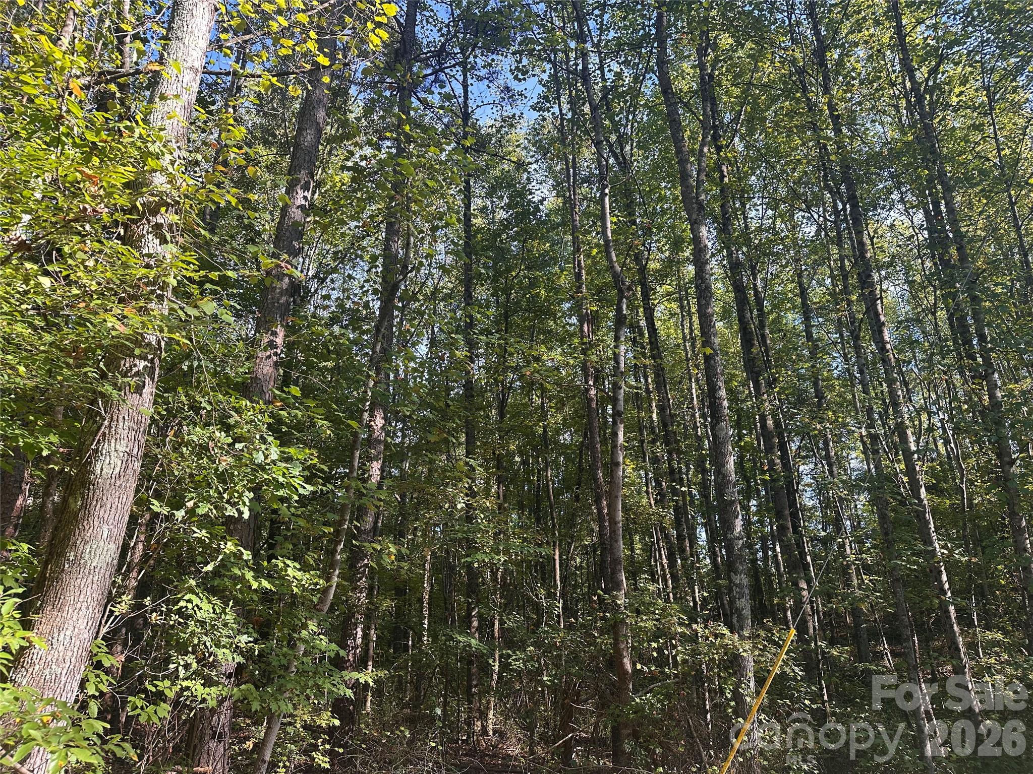 81 Meandering Lane Property Photo 8