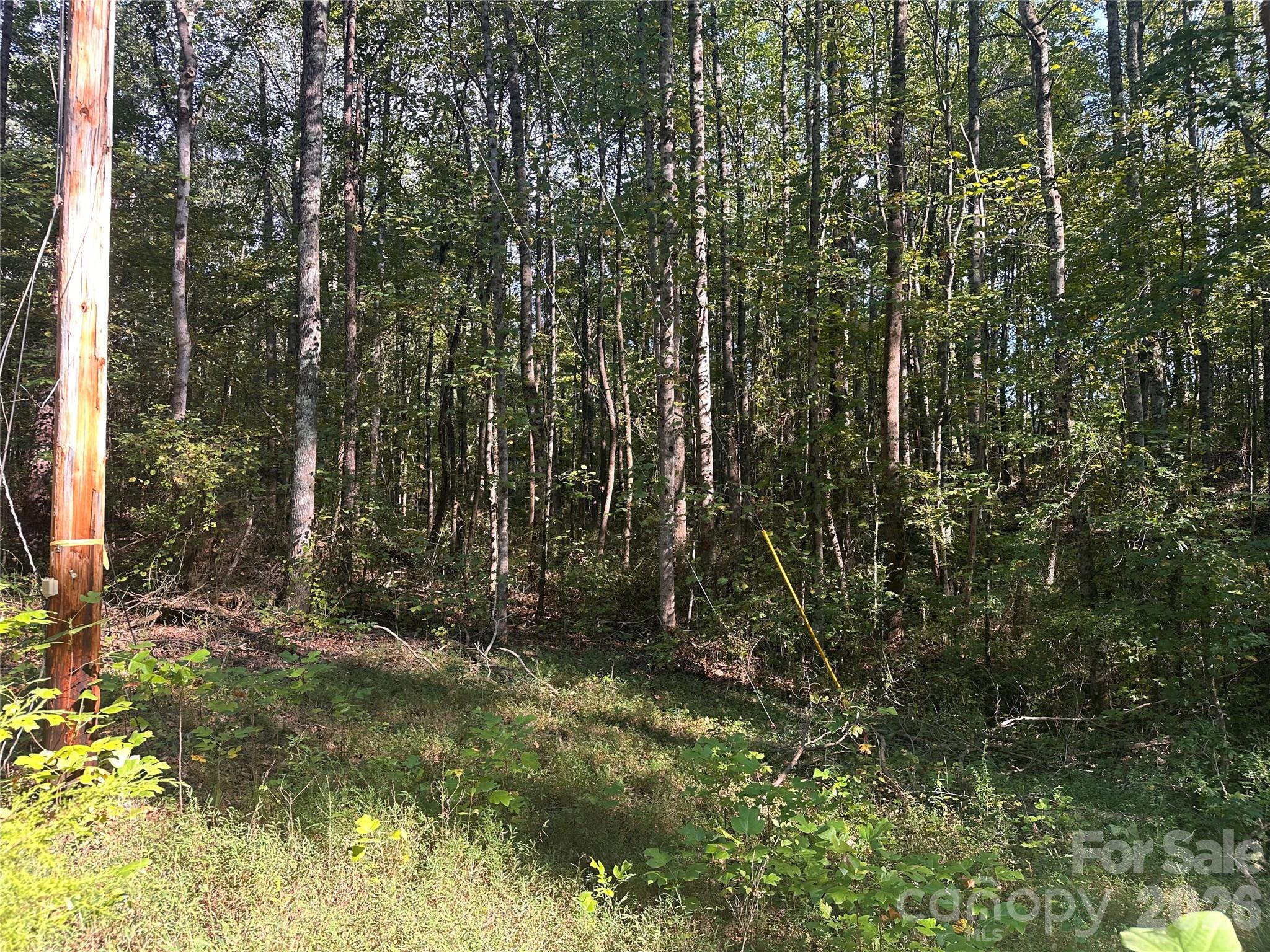 81 Meandering Lane Property Photo 10