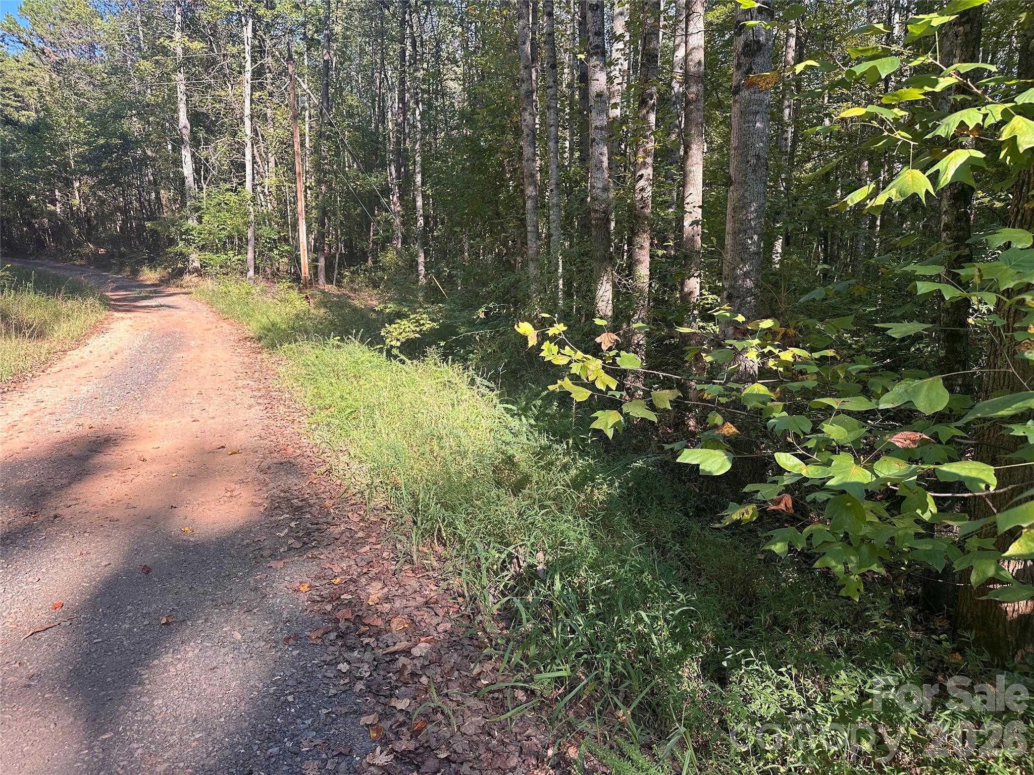 81 Meandering Lane Property Photo 11