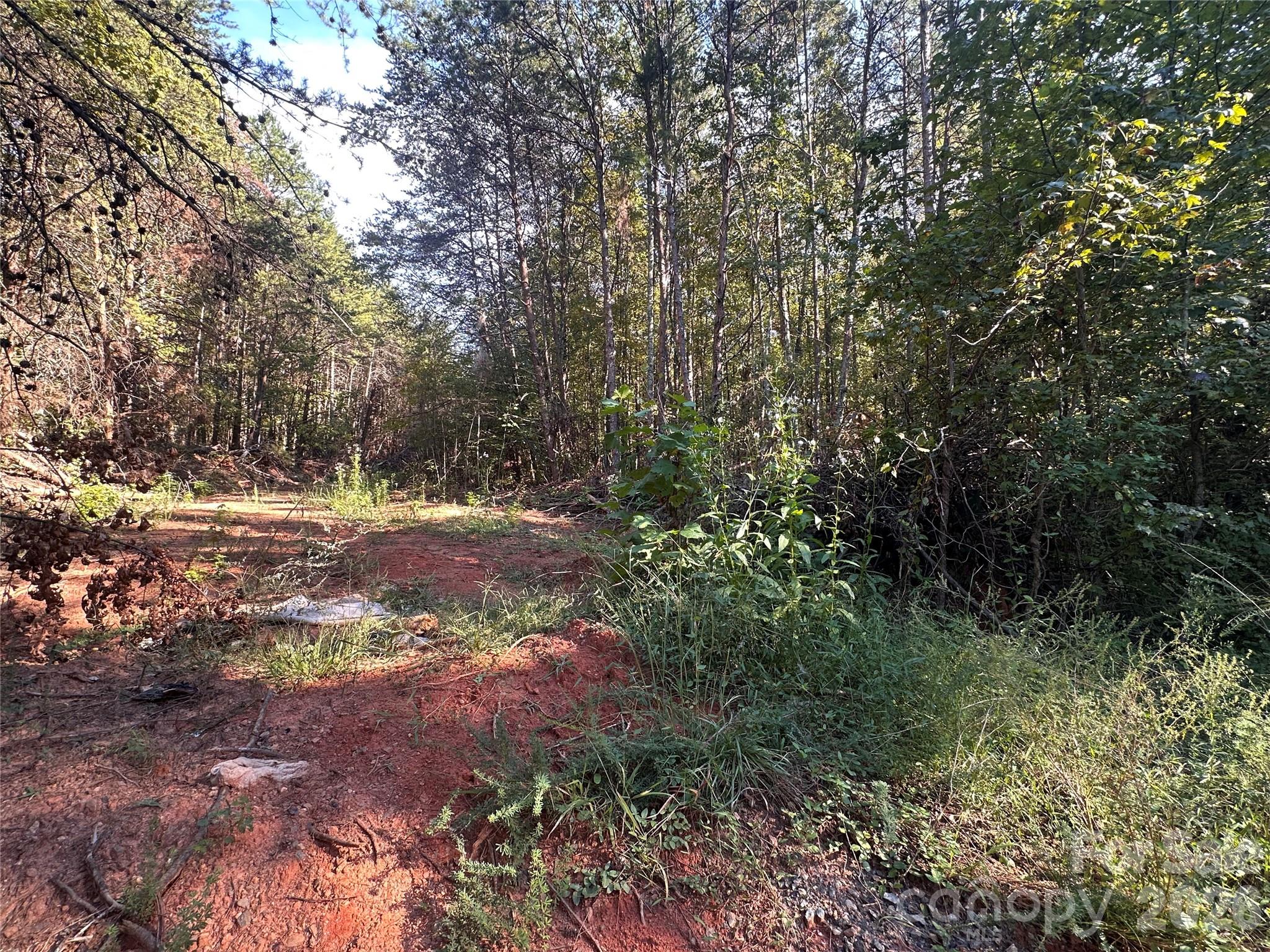 81 Meandering Lane Property Photo 12