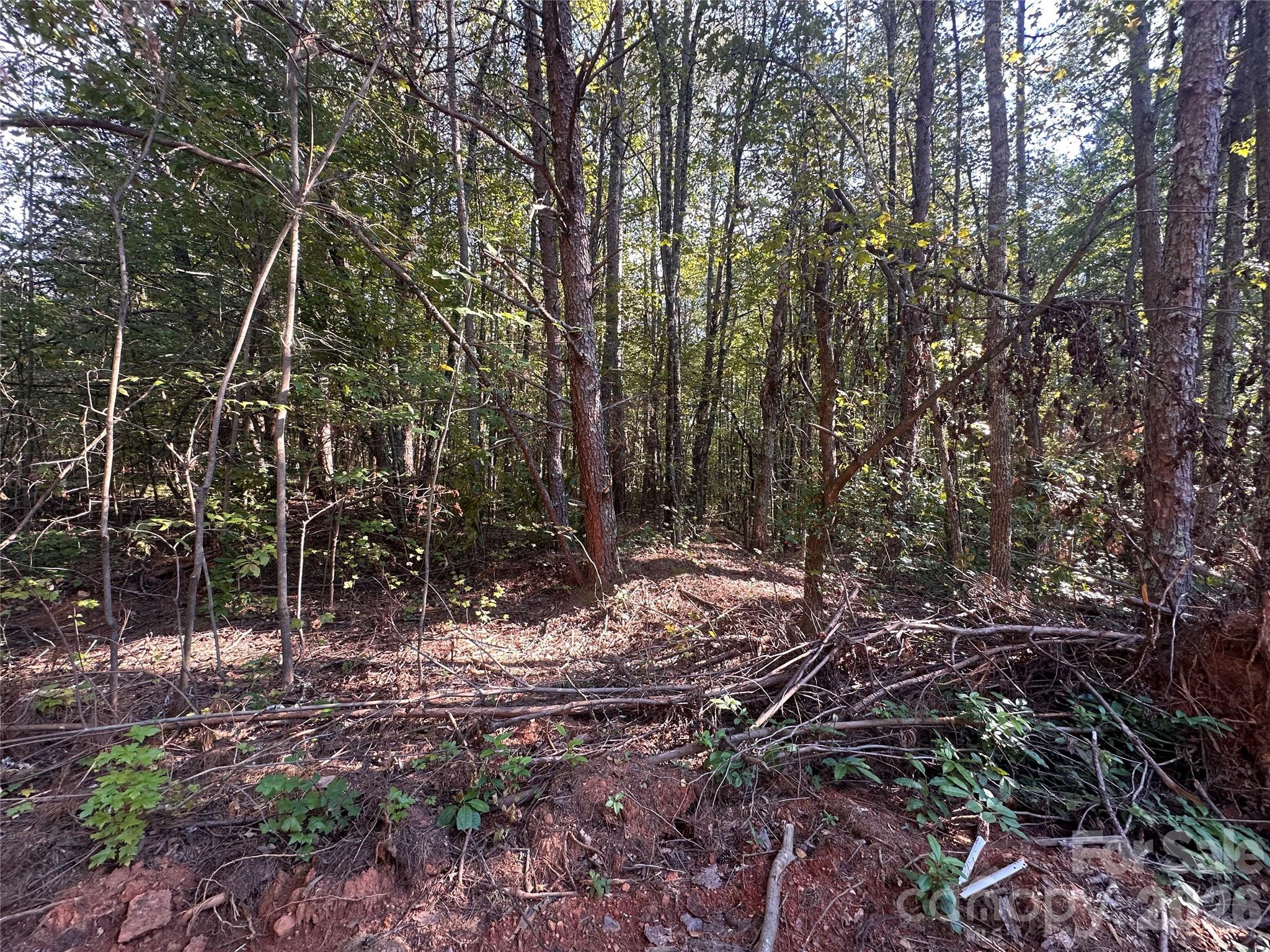 81 Meandering Lane Property Photo 13