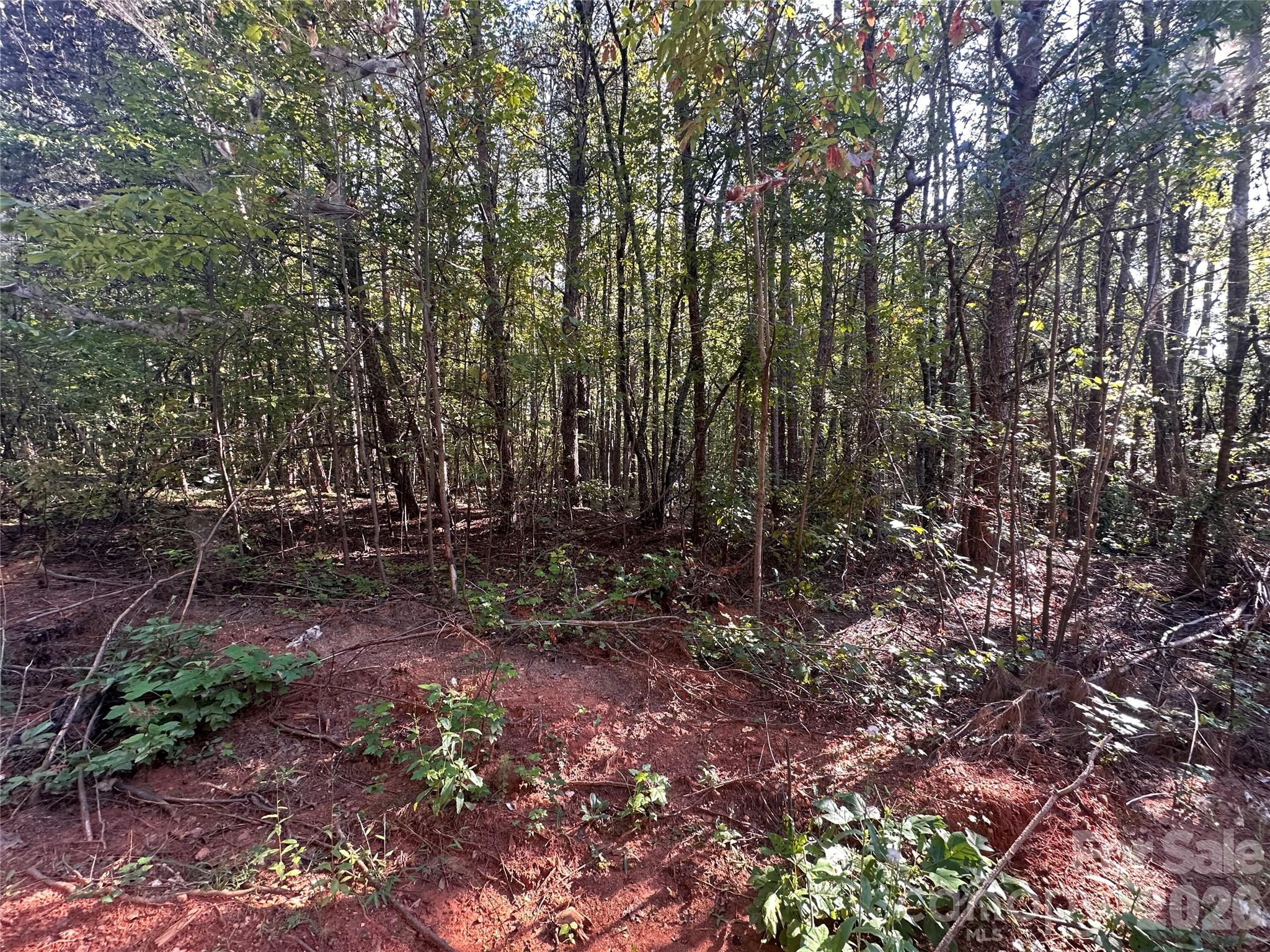 81 Meandering Lane Property Photo 14