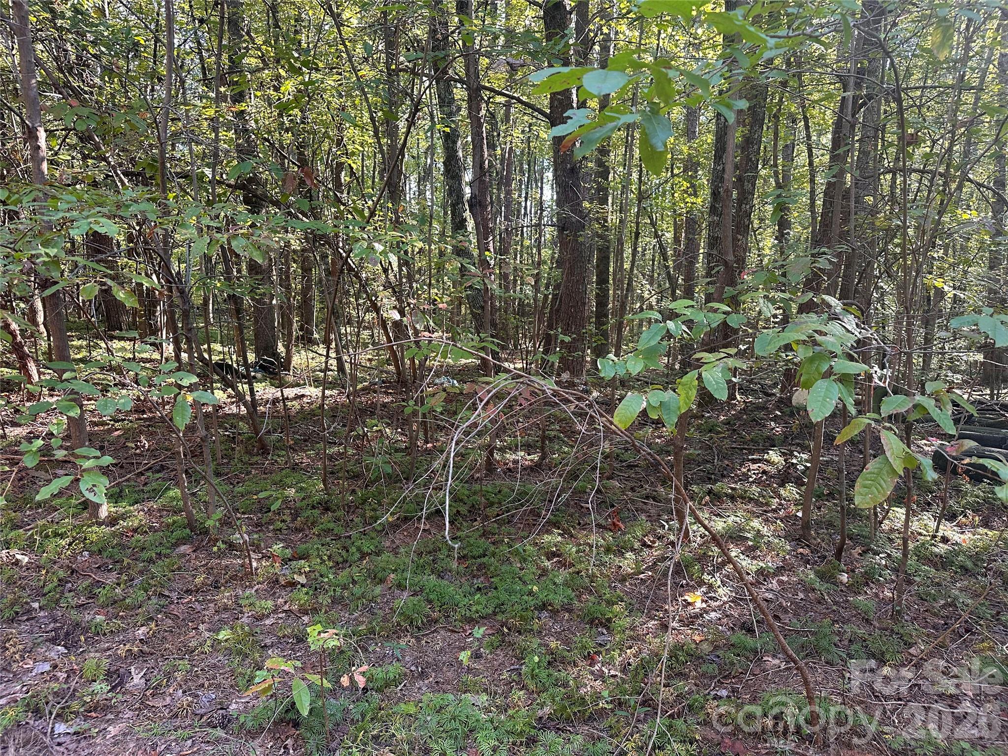 81 Meandering Lane Property Photo 15
