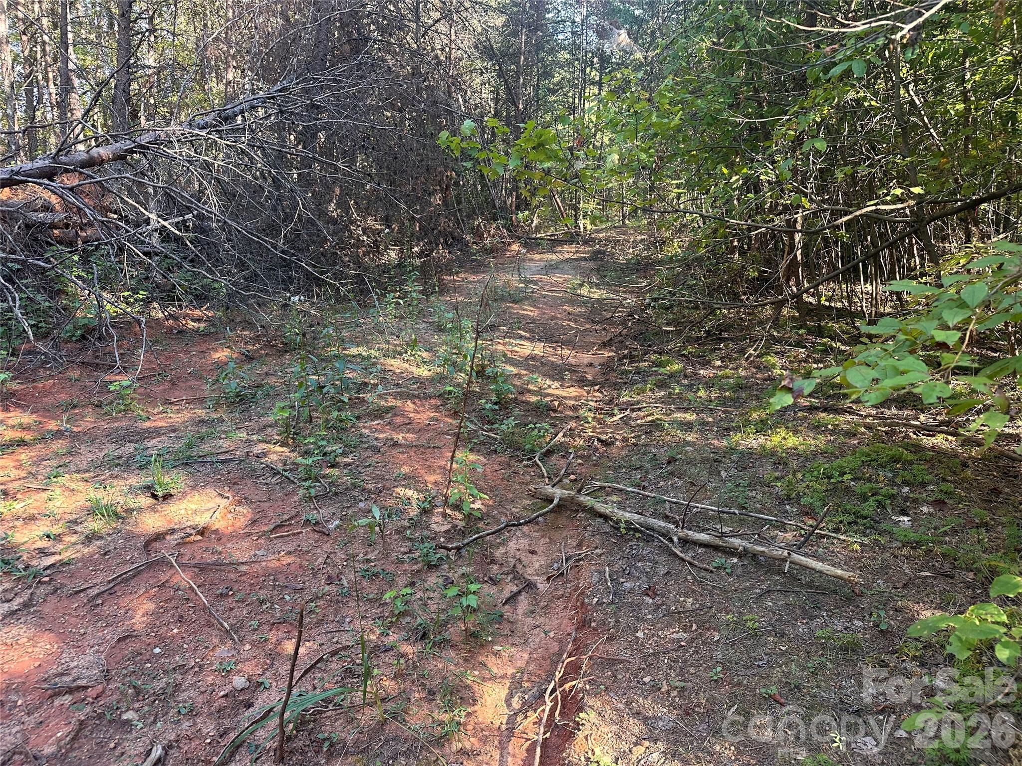 81 Meandering Lane Property Photo 16