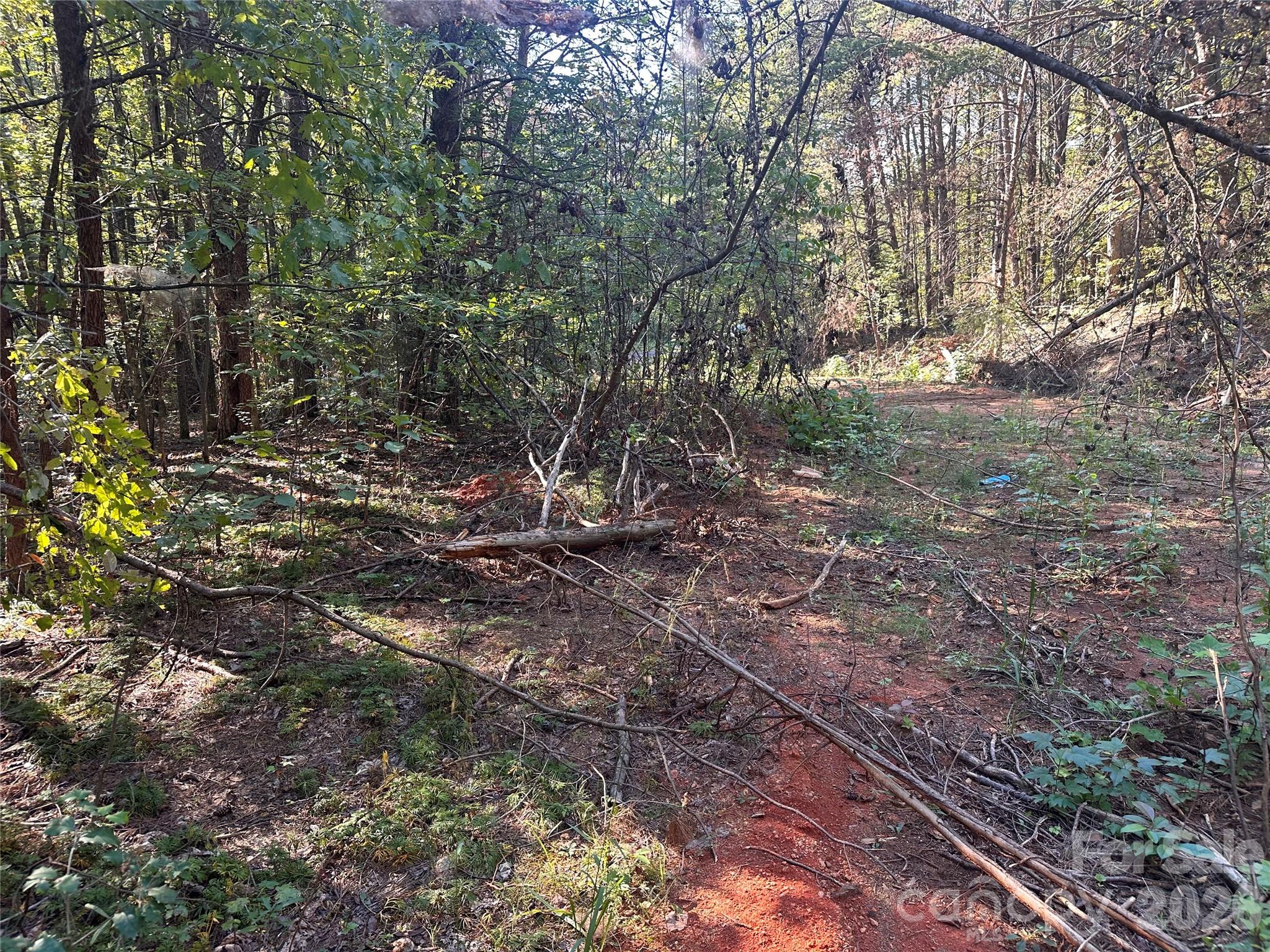 81 Meandering Lane Property Photo 17
