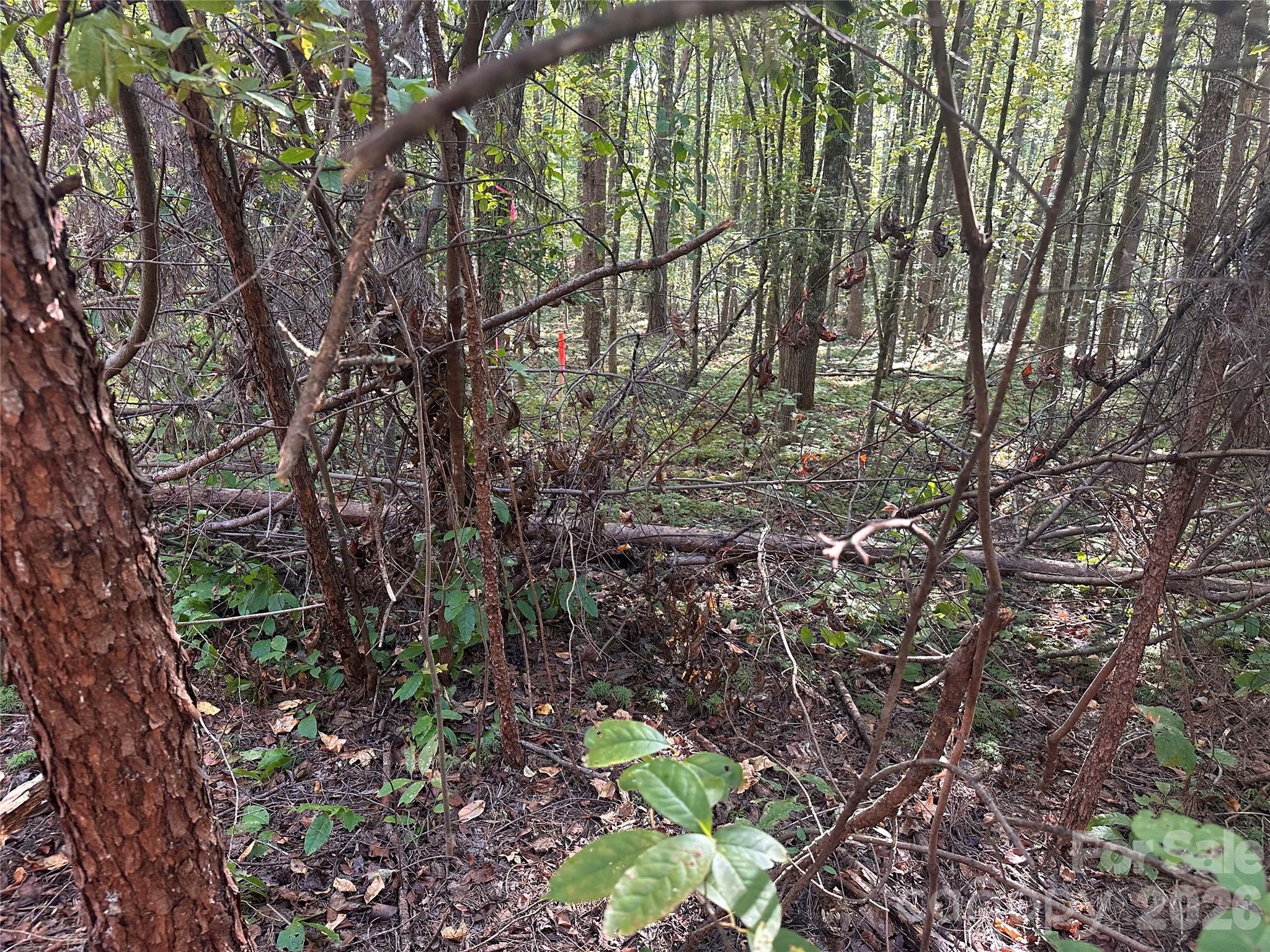 81 Meandering Lane Property Photo 18
