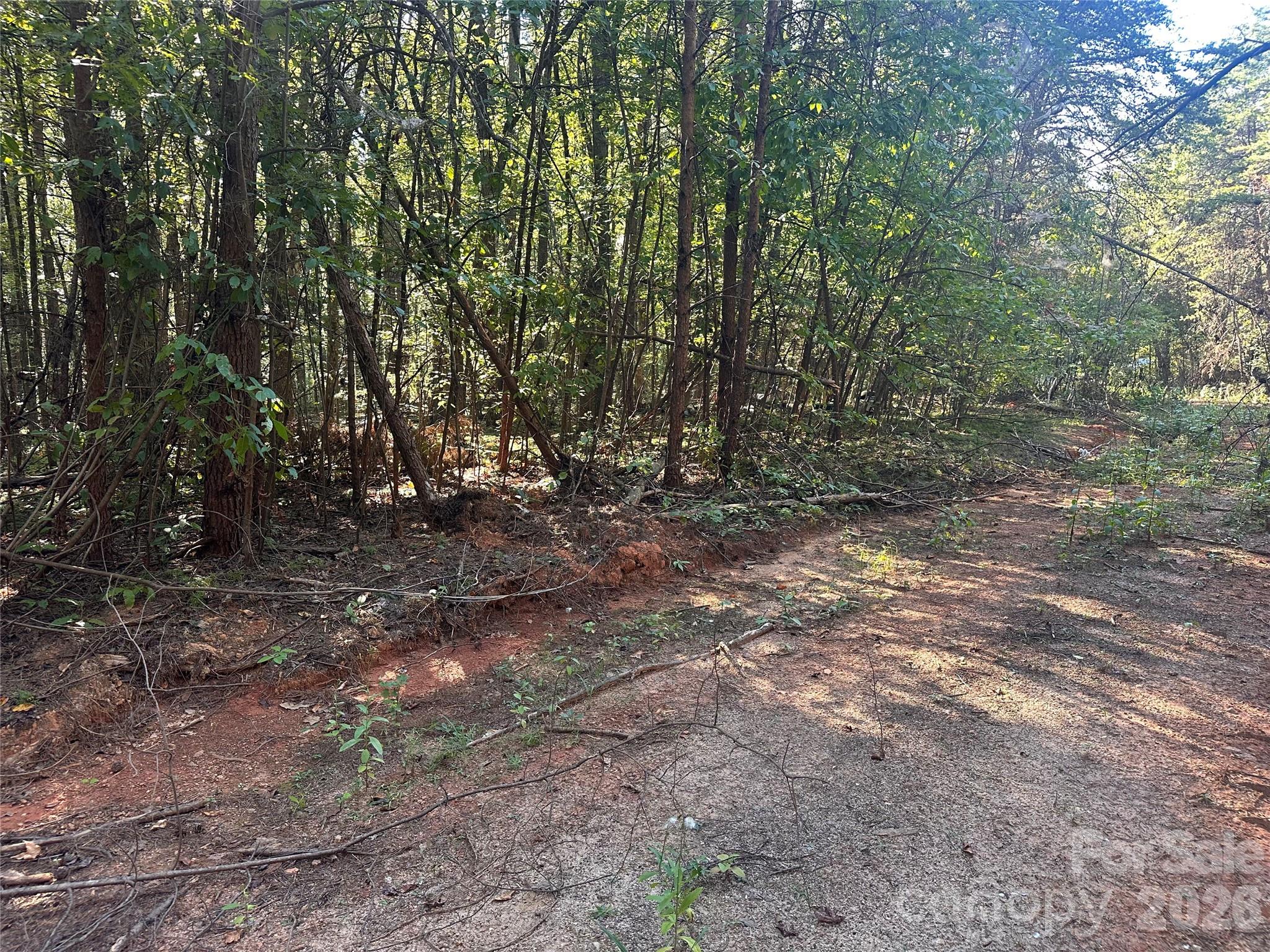 81 Meandering Lane Property Photo 19