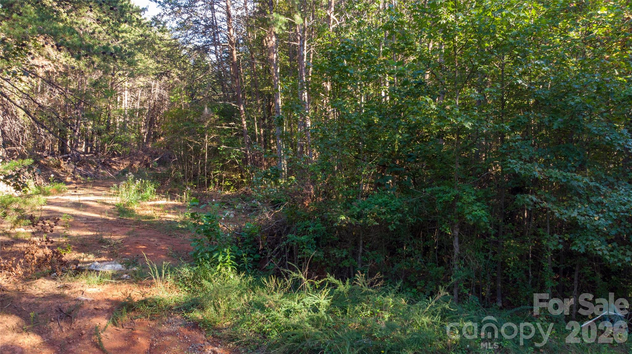81 Meandering Lane Property Photo 20